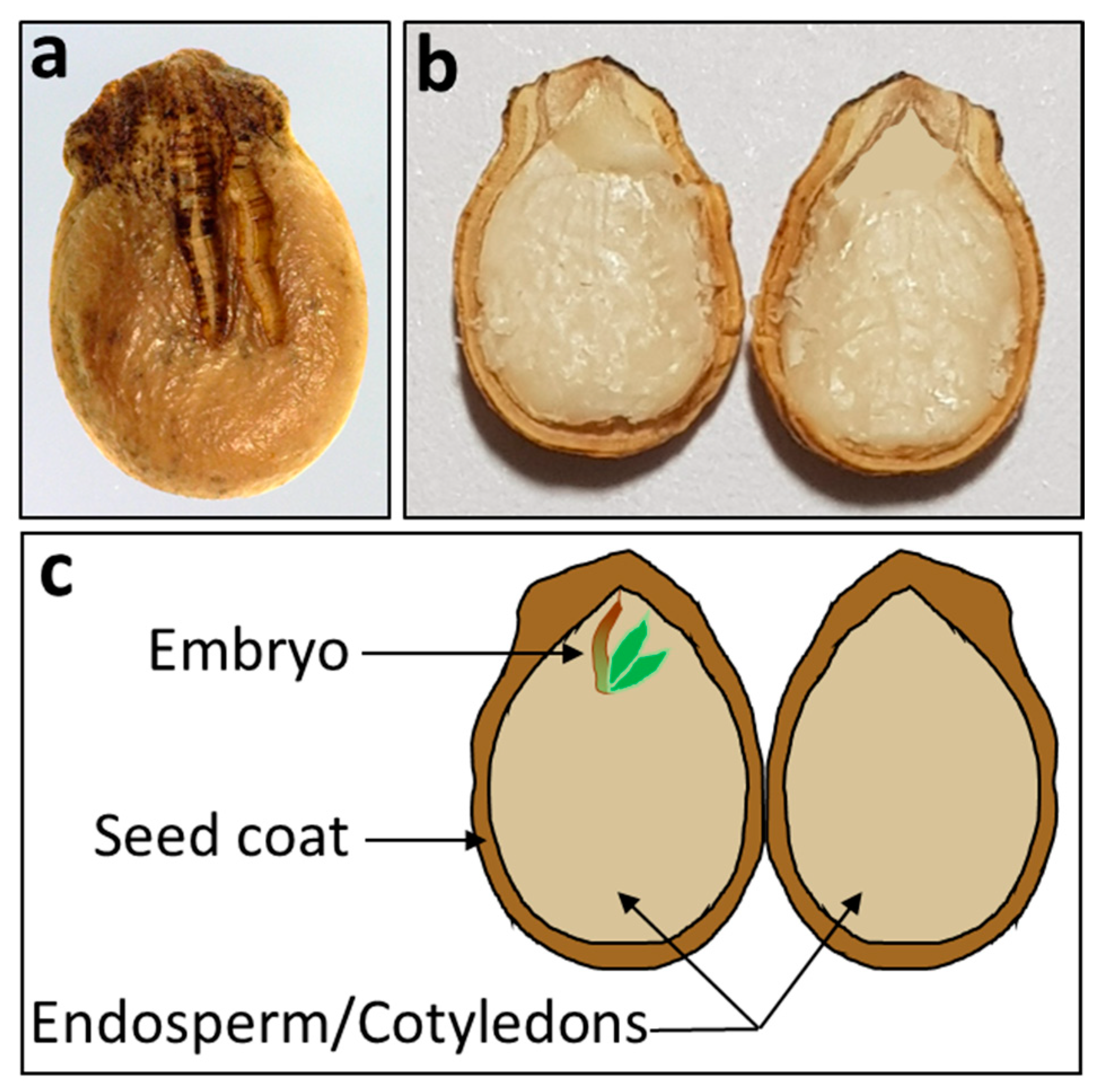 Sensors 20 06753 g001
