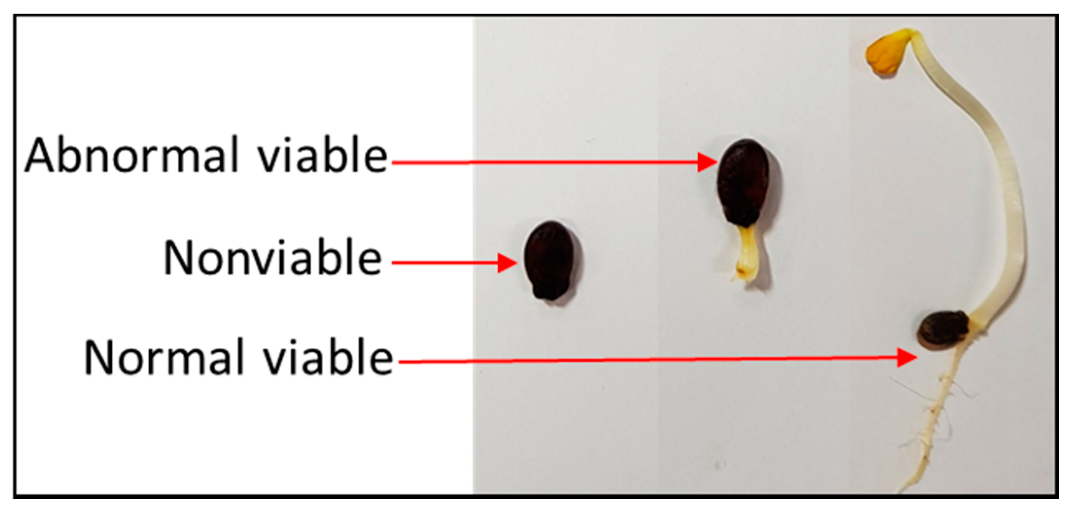 Sensors 20 06753 g005