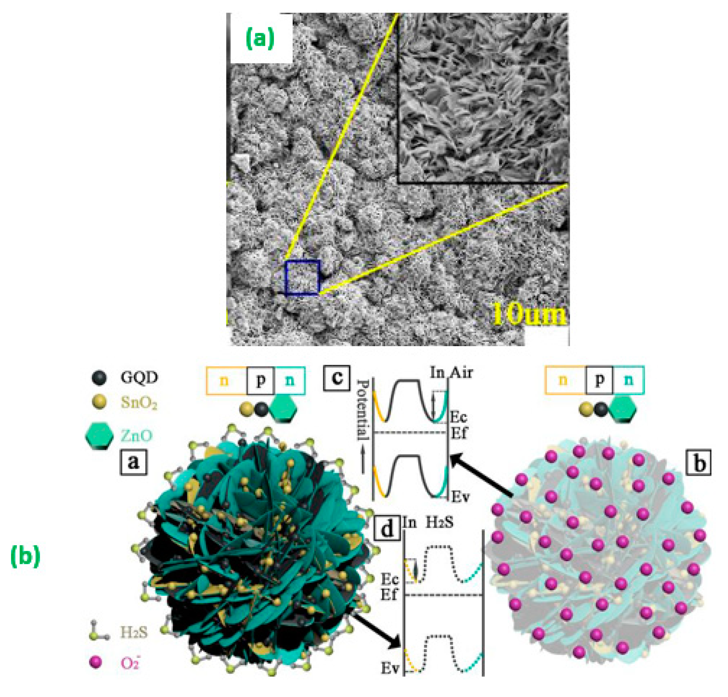 Sensors 20 06755 g007