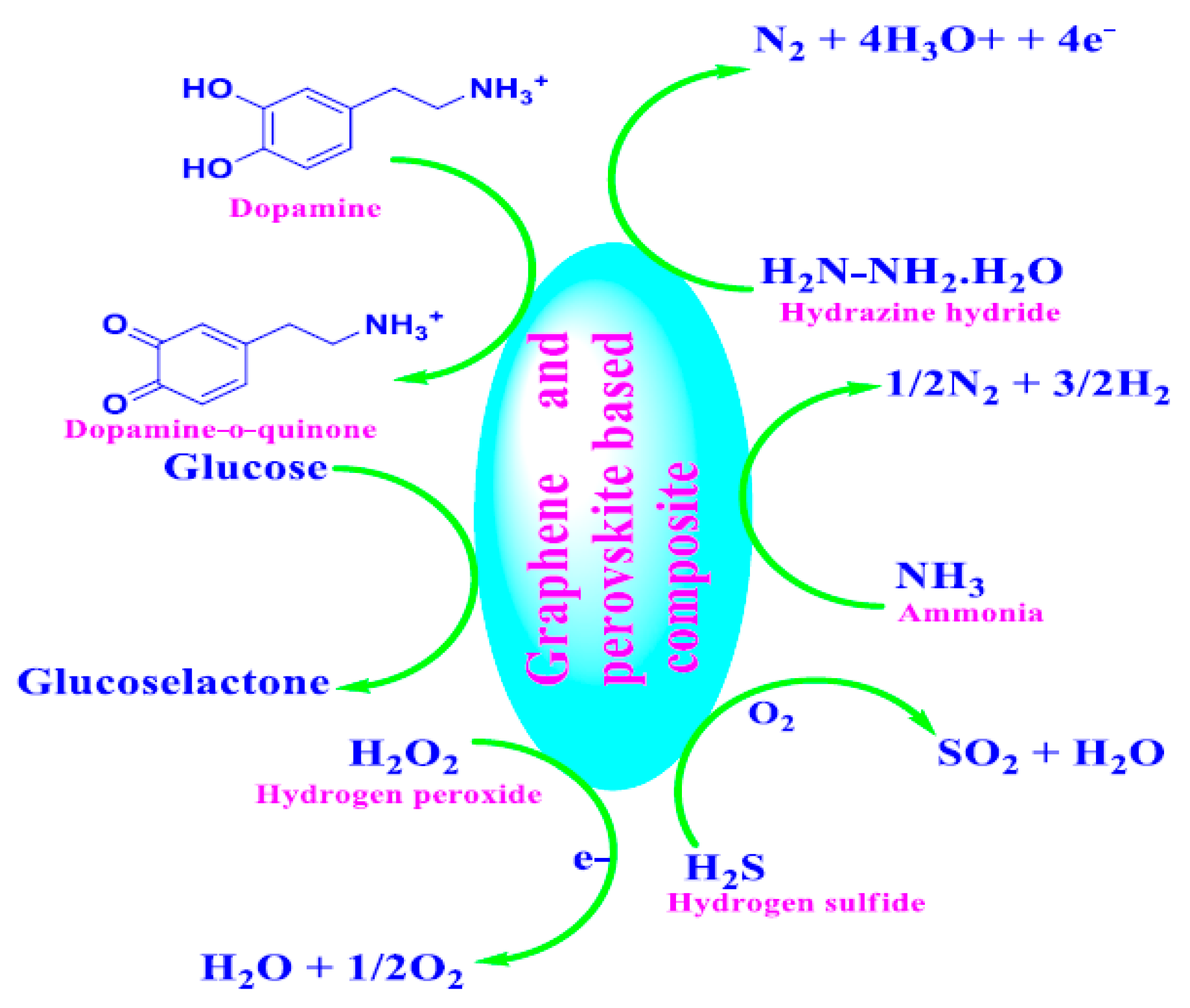 Sensors 20 06755 sch001