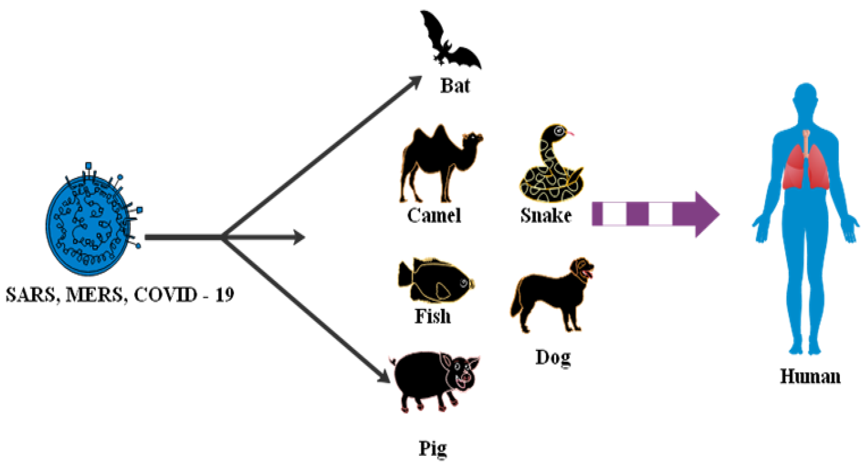 Sensors 20 06764 g005