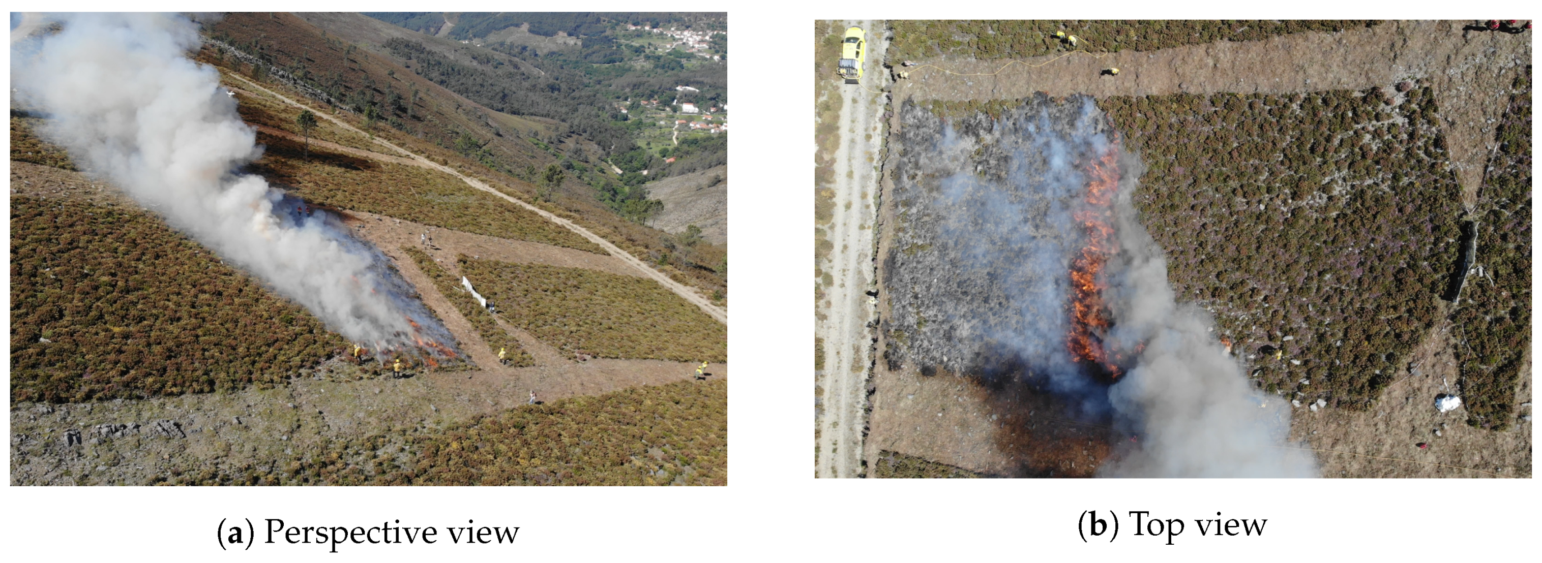 Sensors 20 06803 g015