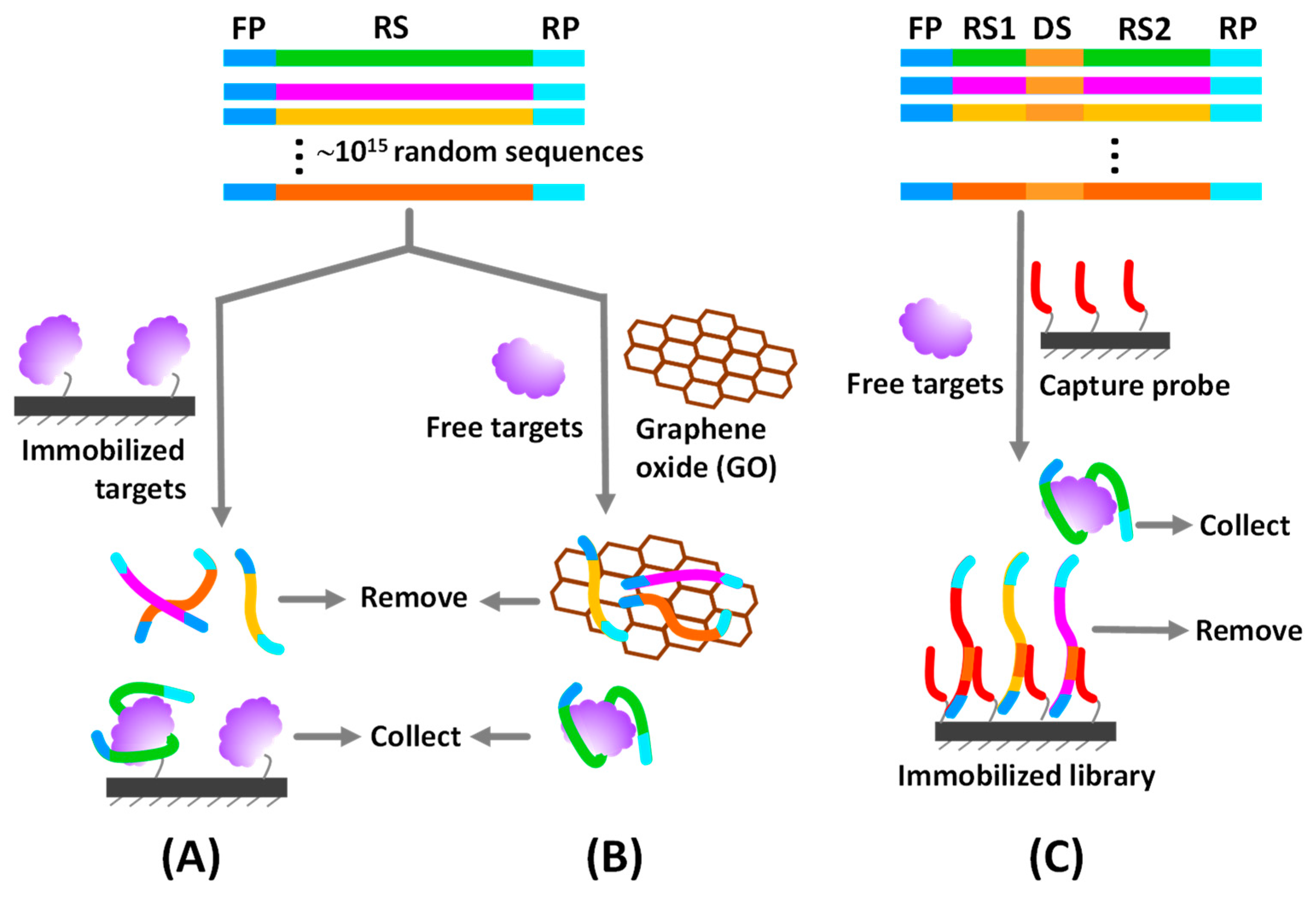 Sensors 20 06809 g002