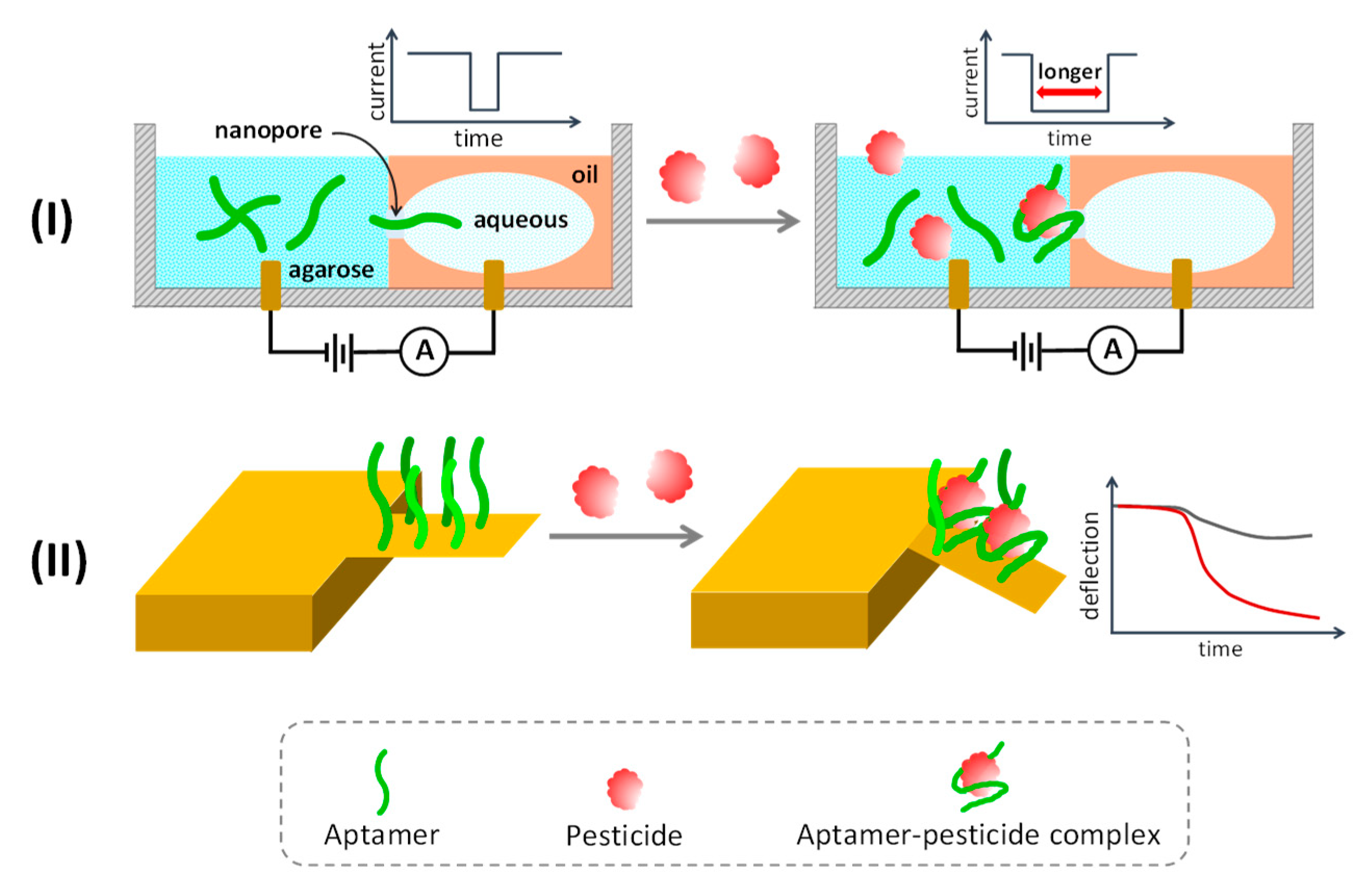 Sensors 20 06809 g007