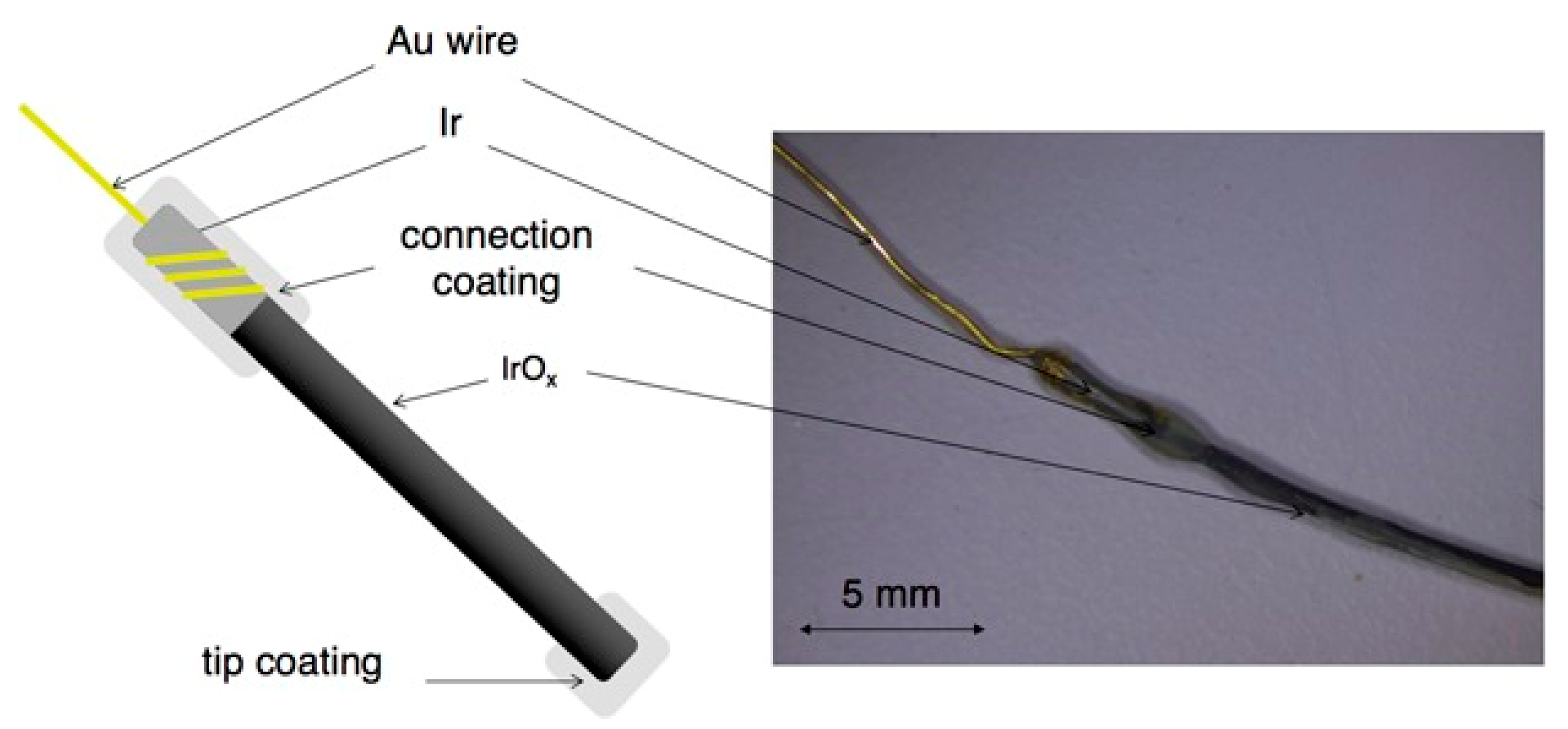 Sensors 20 06825 g003
