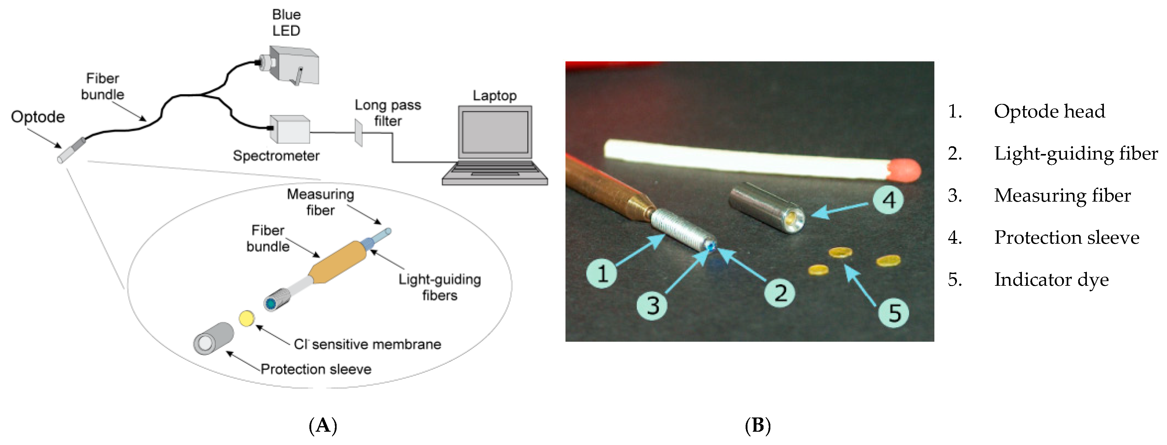Sensors 20 06825 g005