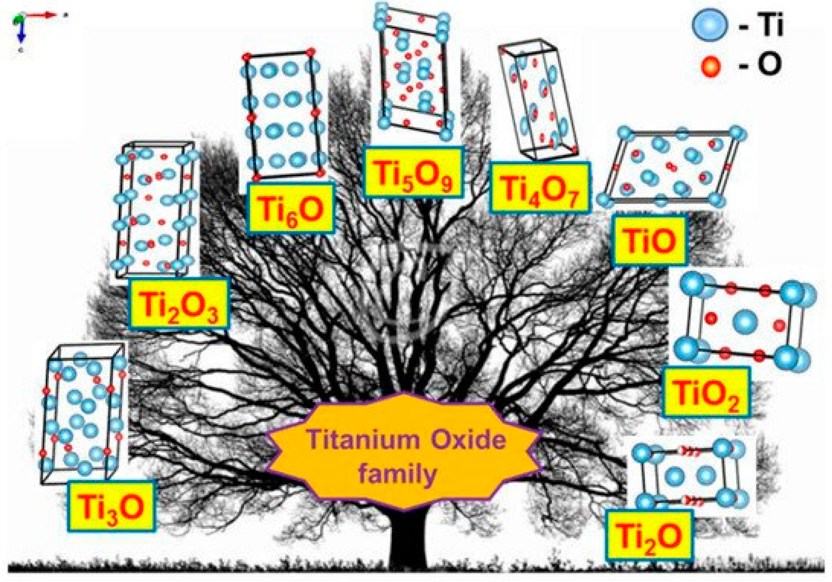 Sensors 20 06833 g001