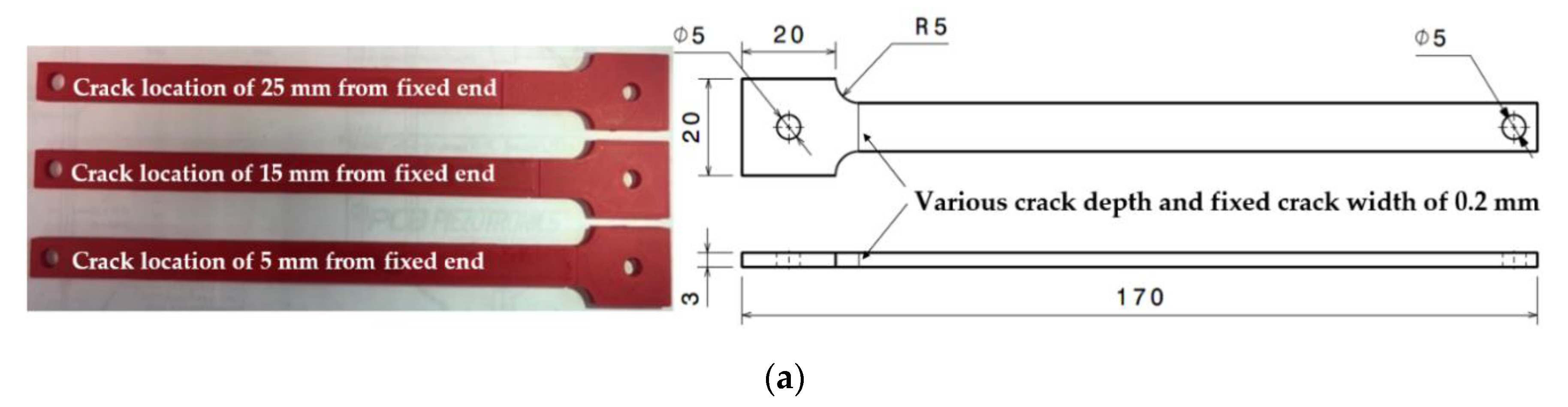 Sensors 20 06847 g001a