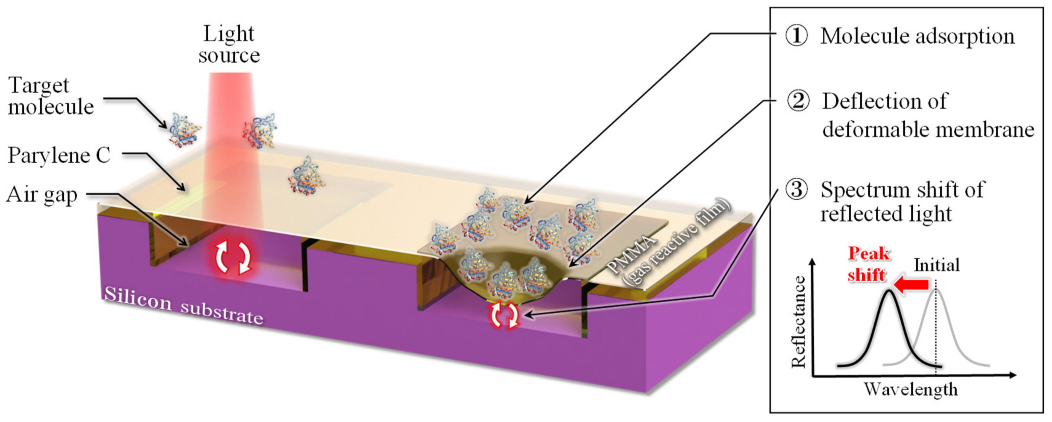 Sensors 20 06868 g001