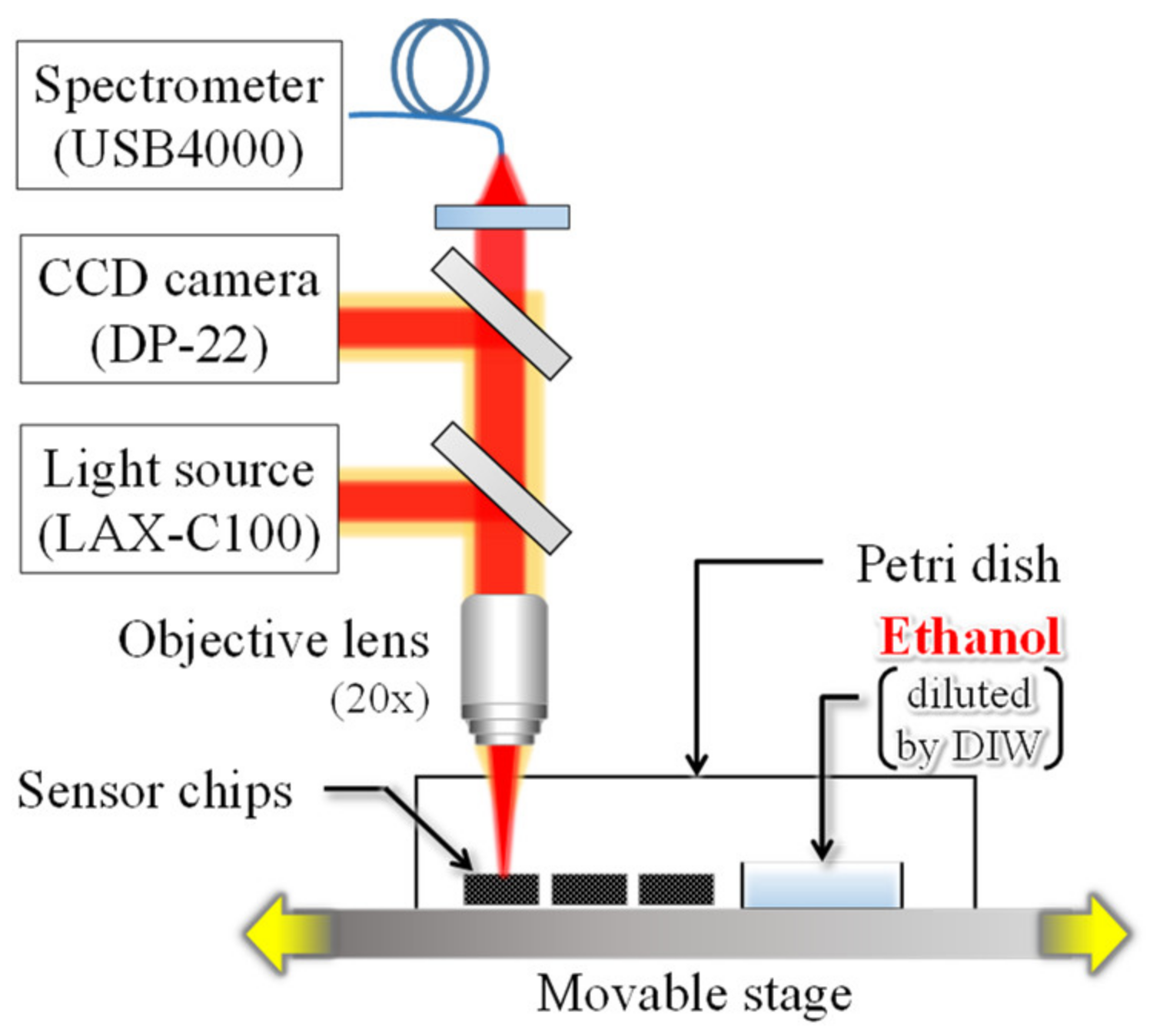 Sensors 20 06868 g006