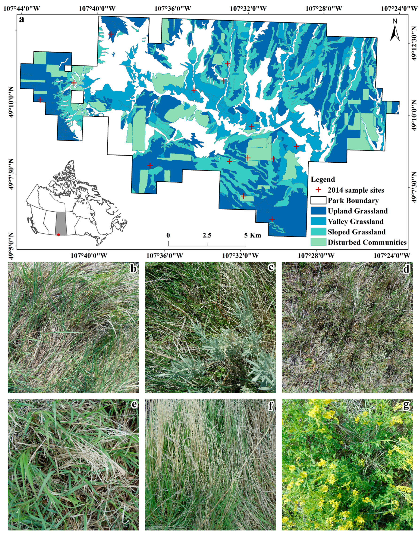Sensors 20 06870 g001