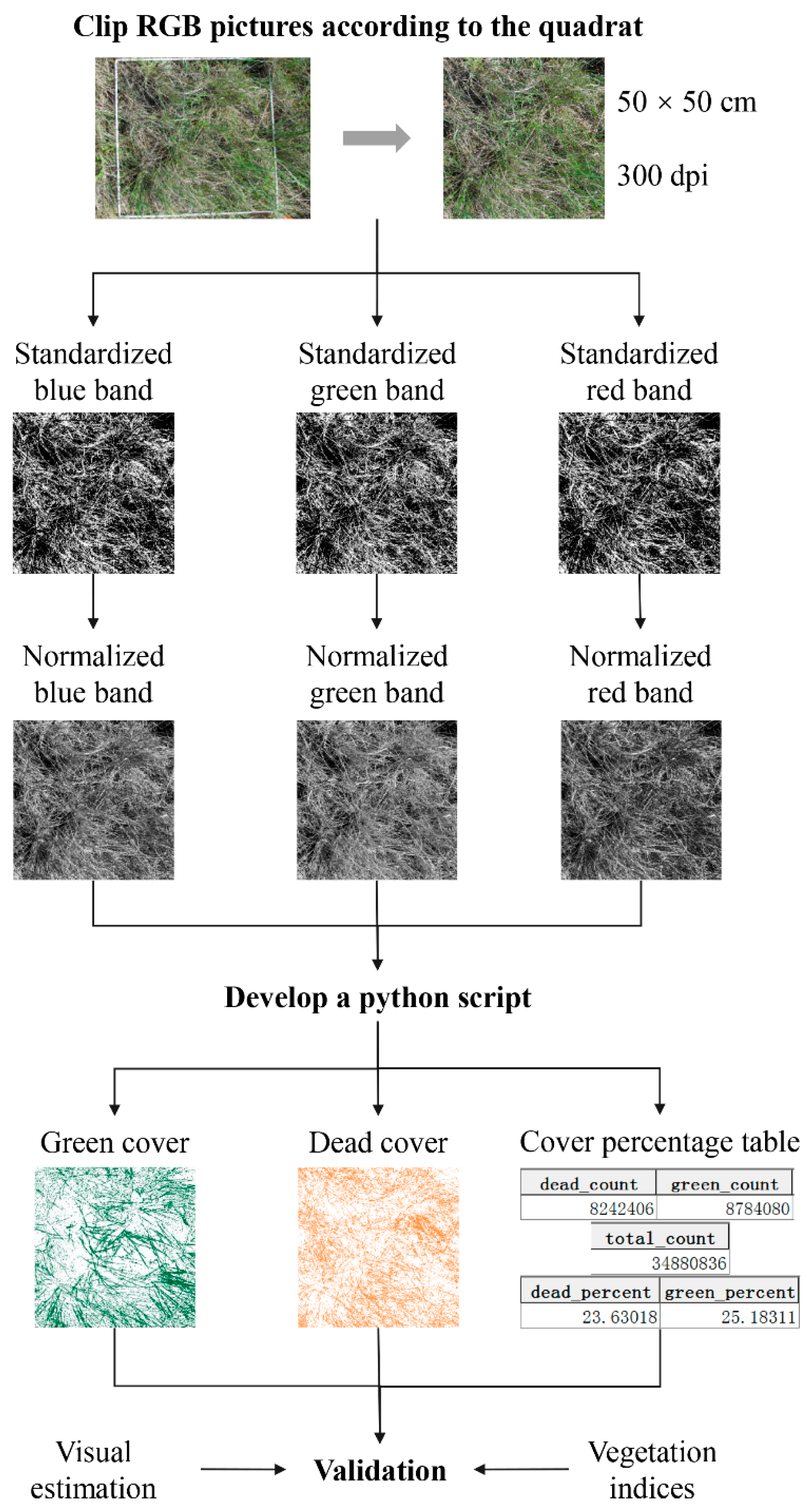 Sensors 20 06870 g002