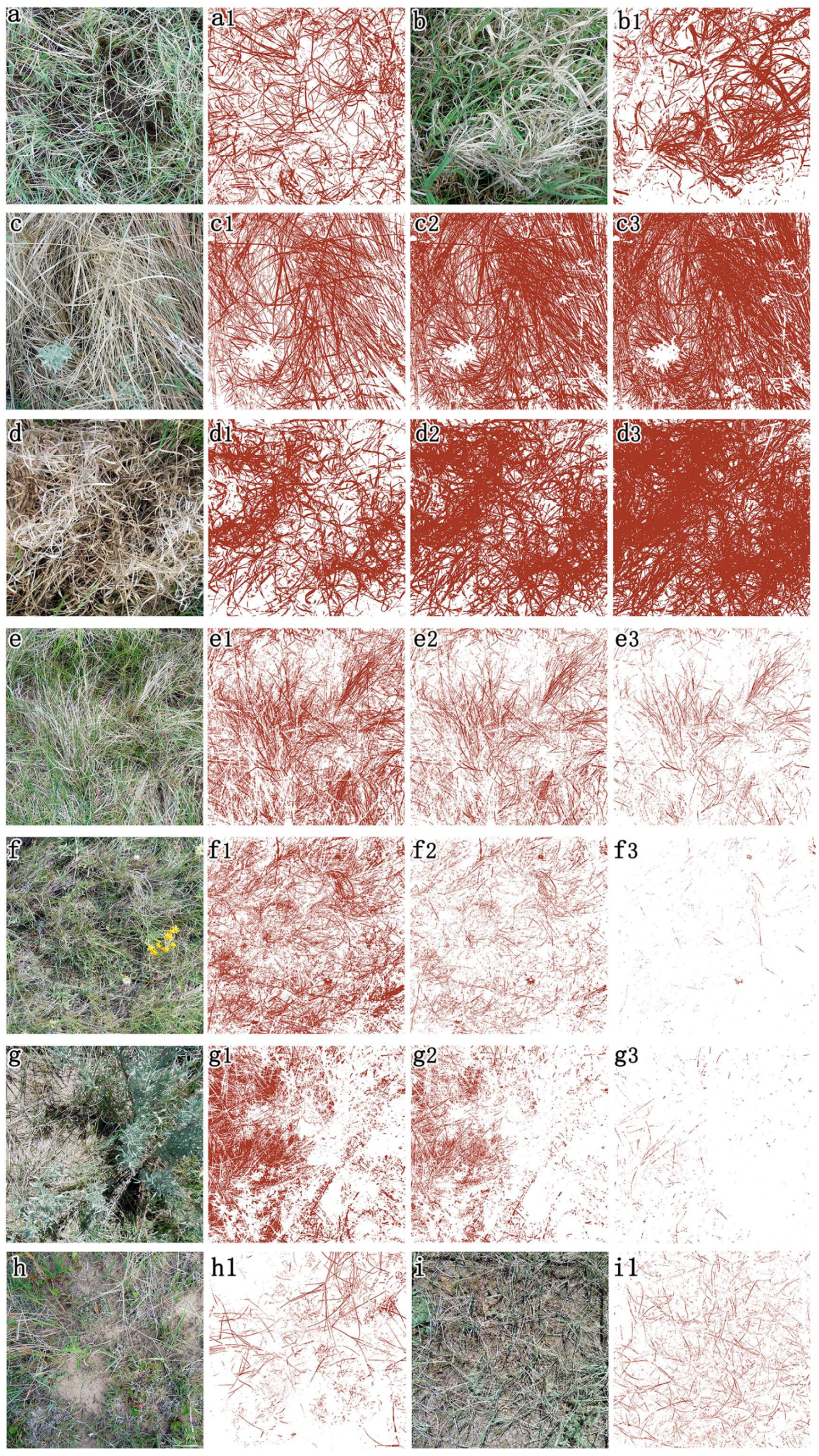 Sensors 20 06870 g003