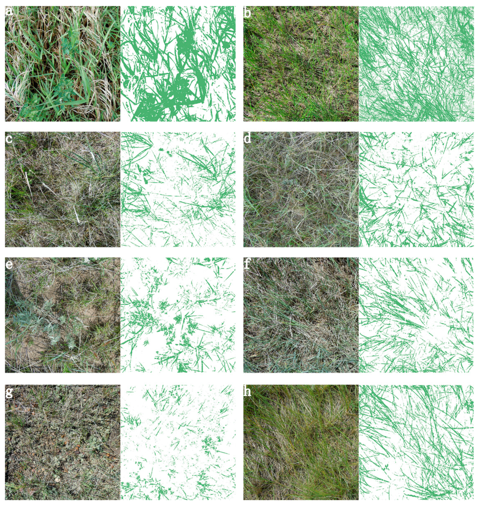 Sensors 20 06870 g007