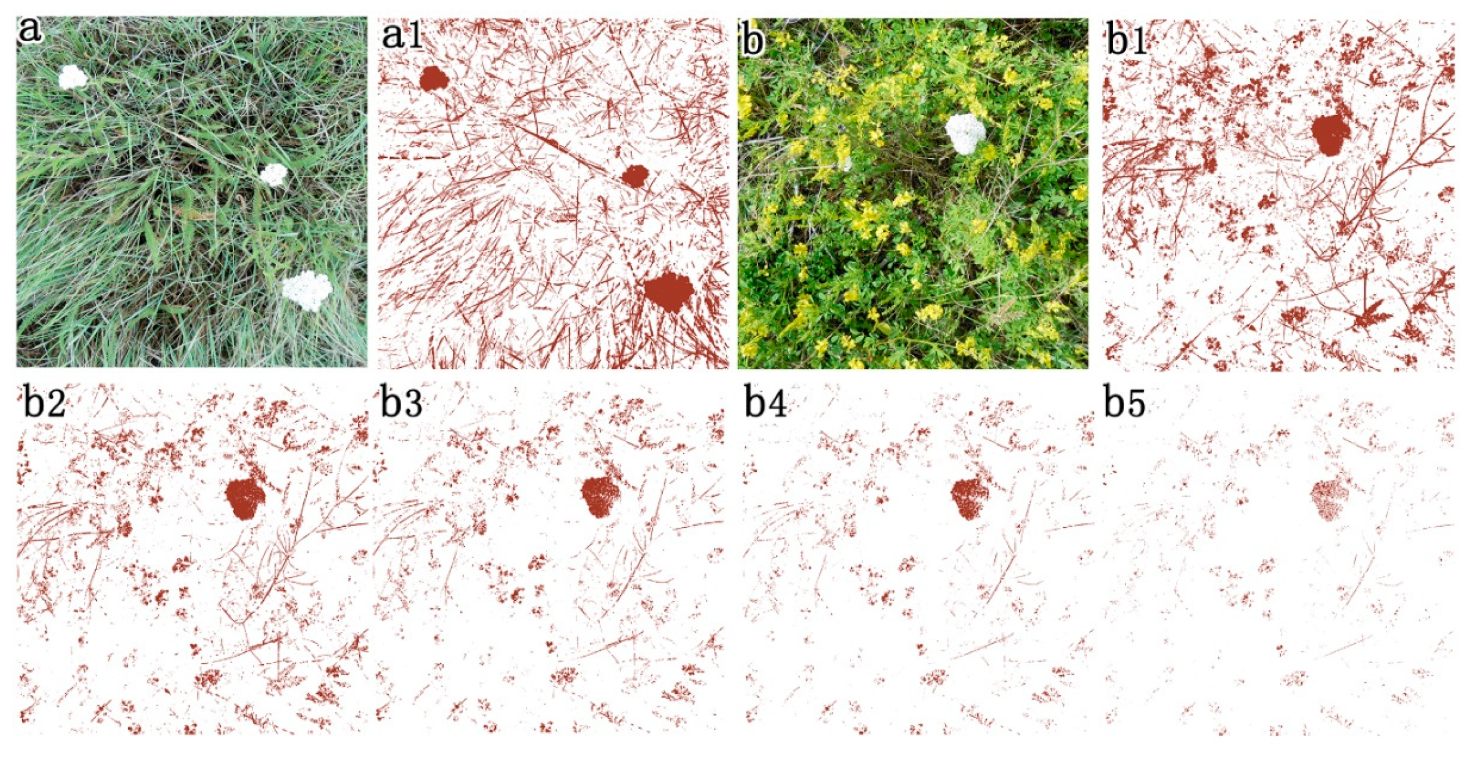 Sensors 20 06870 g008