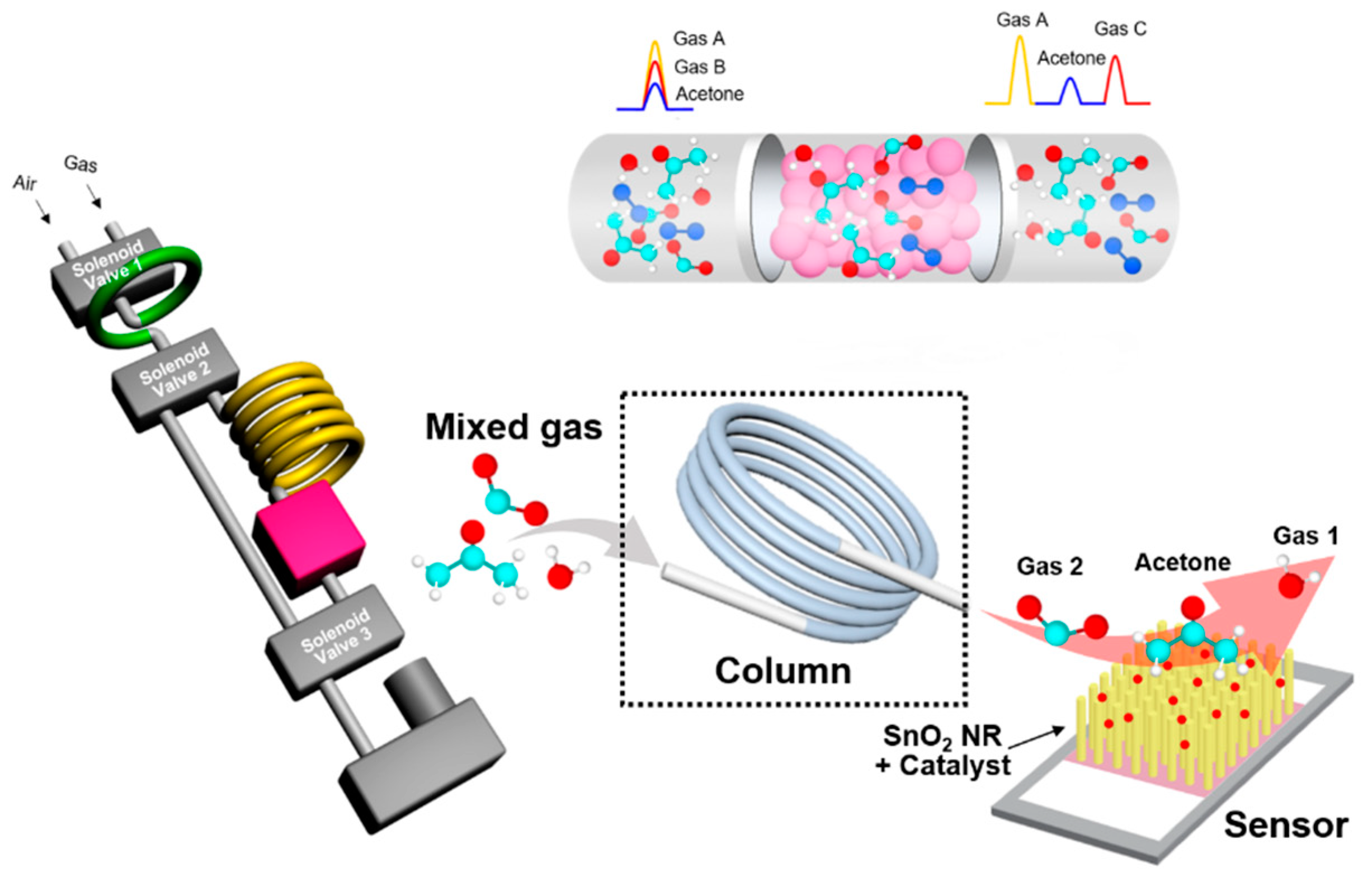 Sensors 20 06878 g001