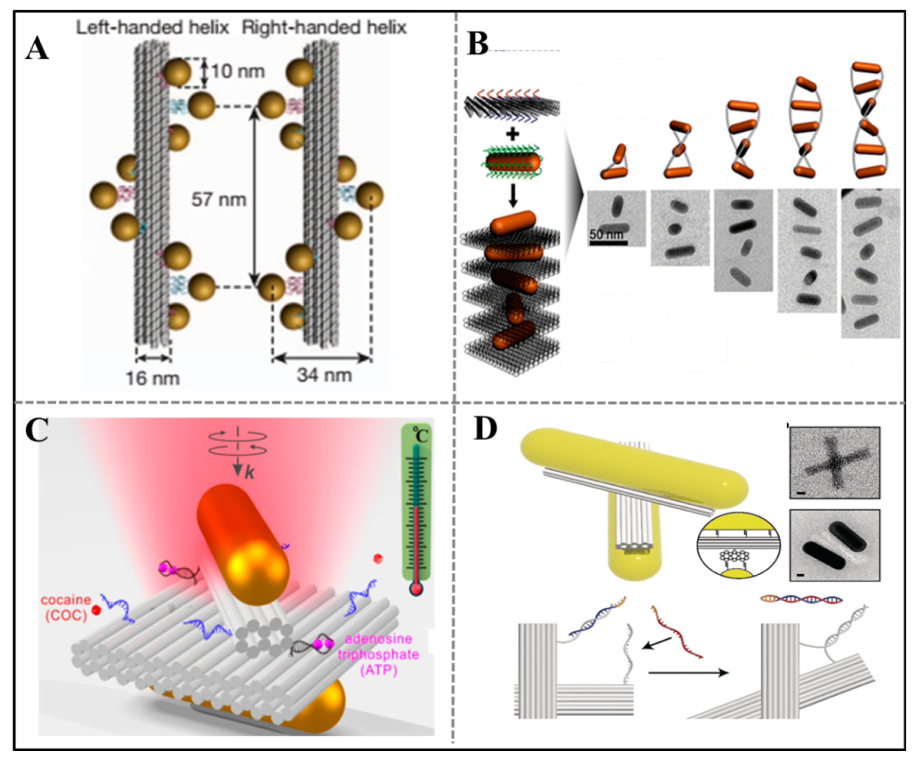 Sensors 20 06899 g004 Sensors 20 06899 g004