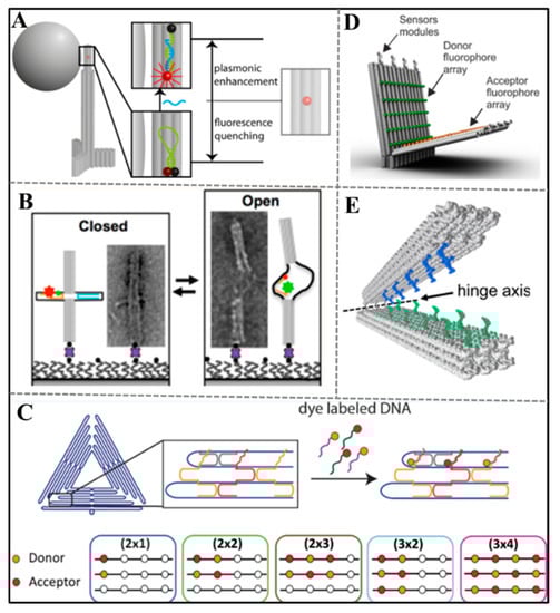 Sensors 20 06899 g005