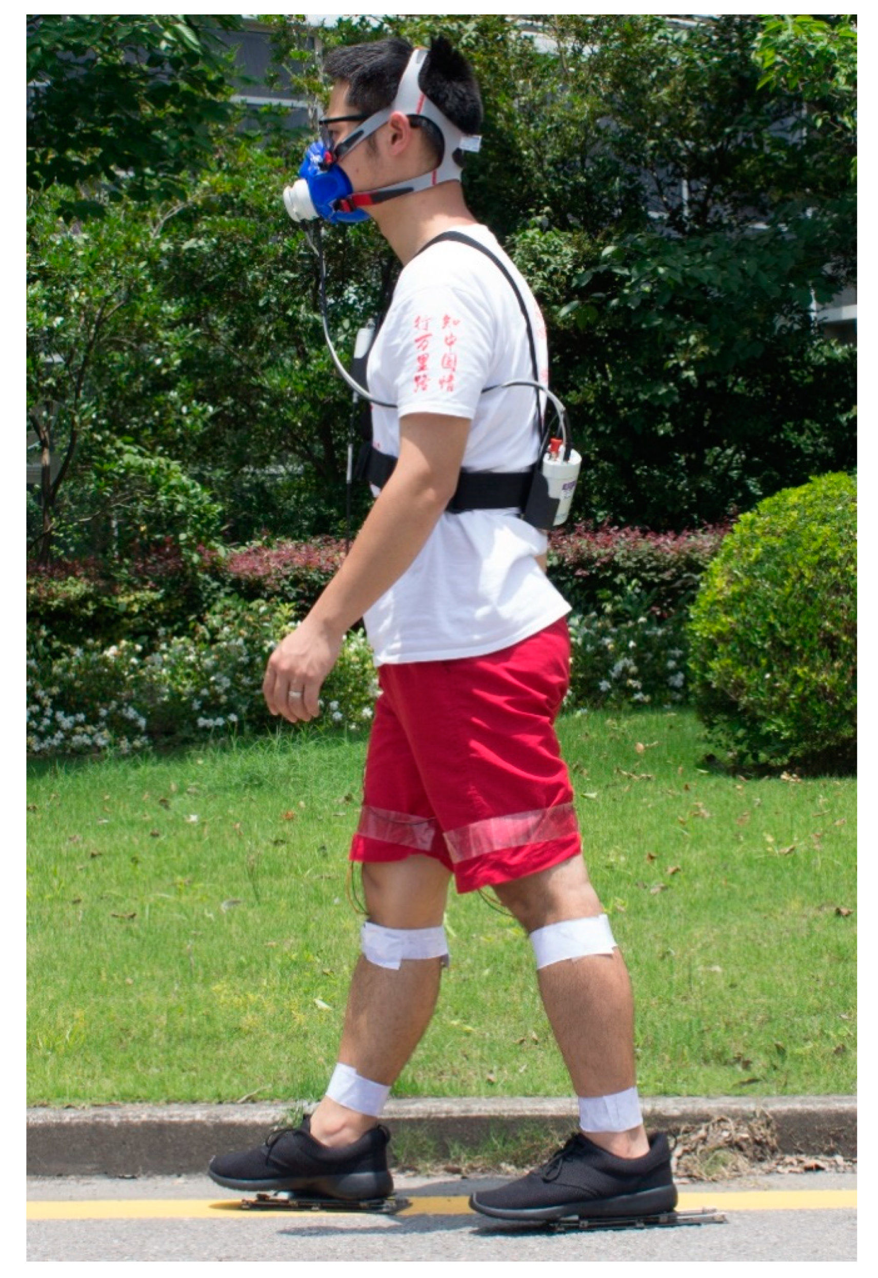 Sensors 20 06915 g002