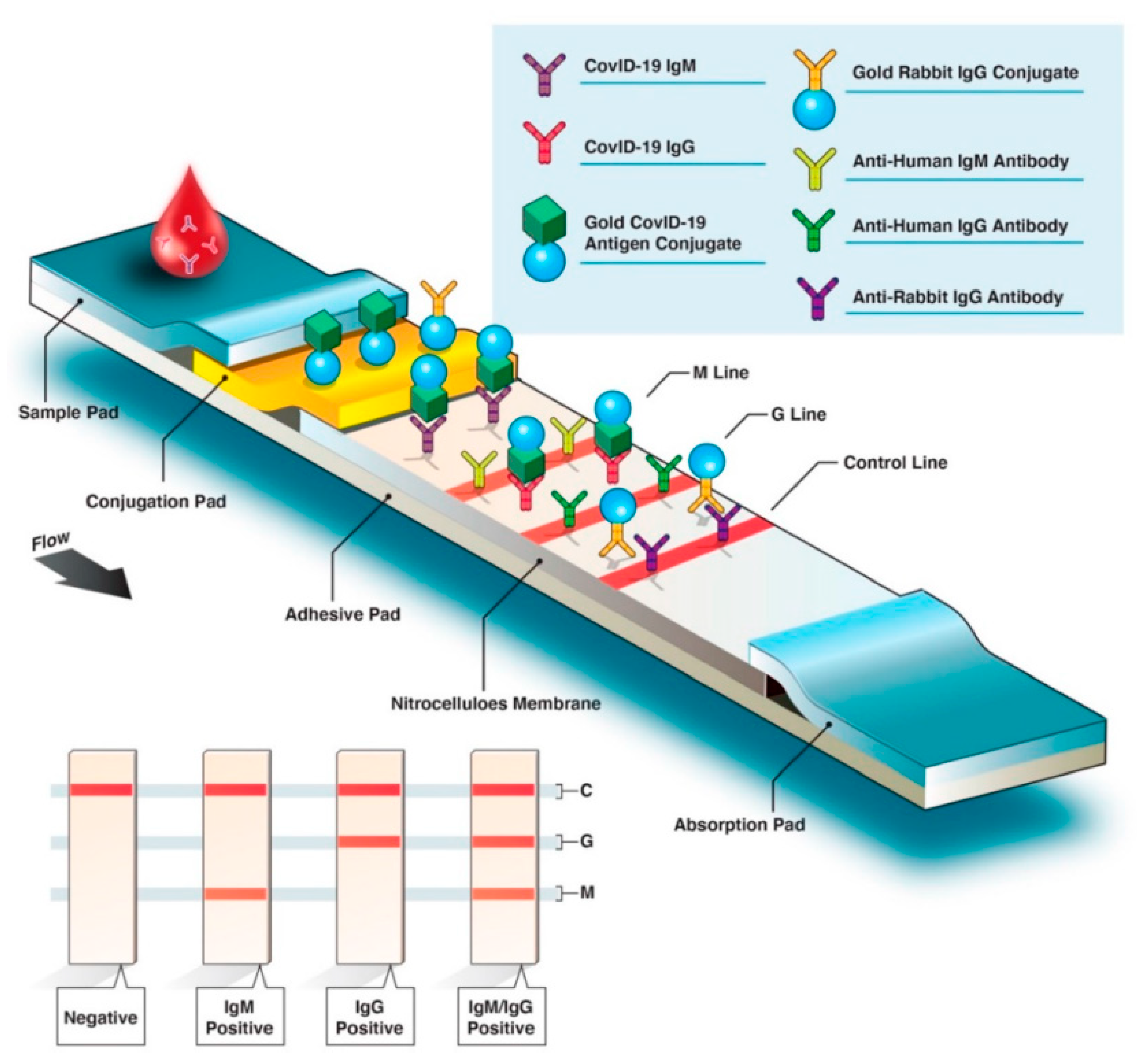 Sensors 20 06926 g004