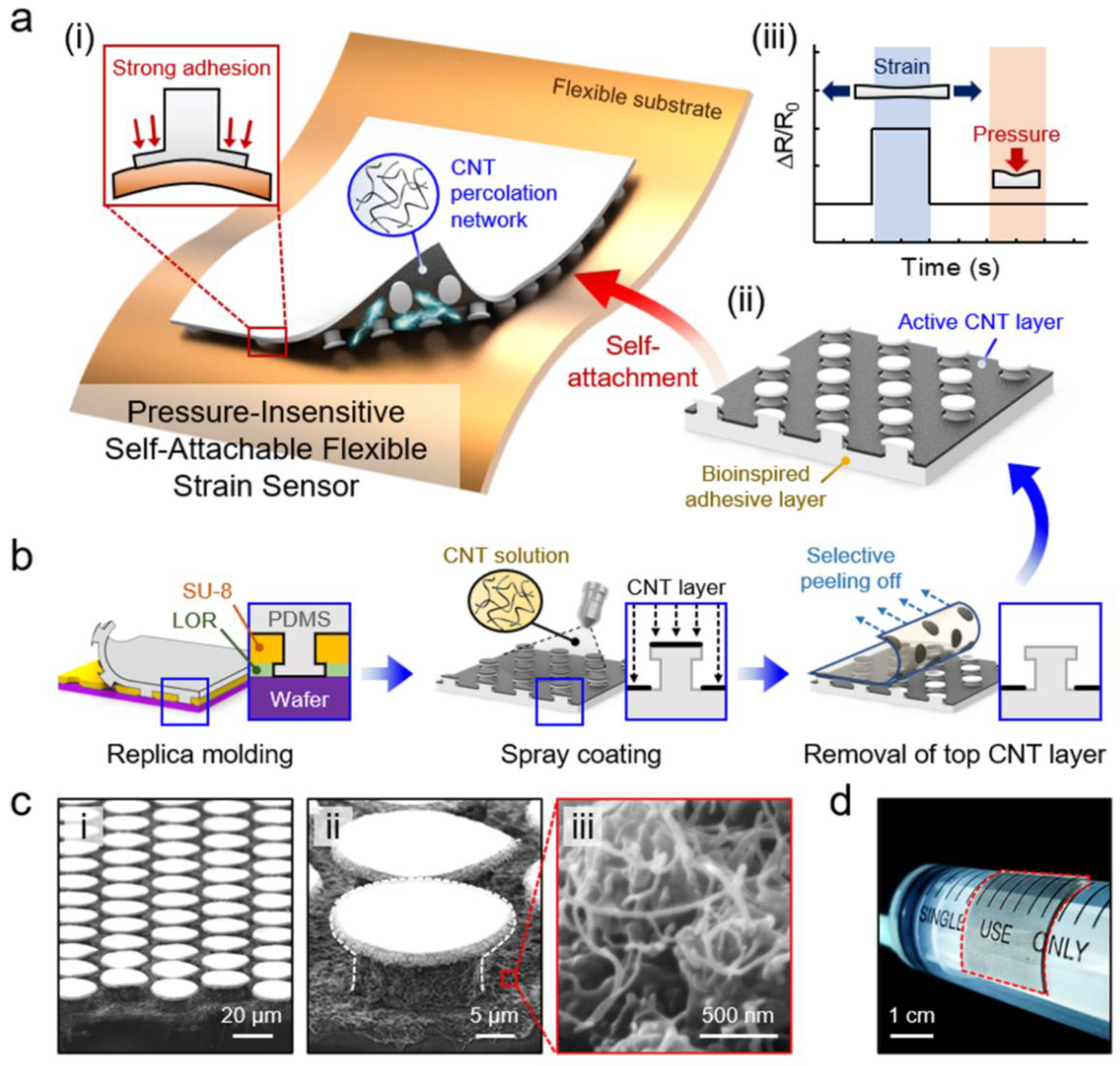 Sensors 20 06965 g001