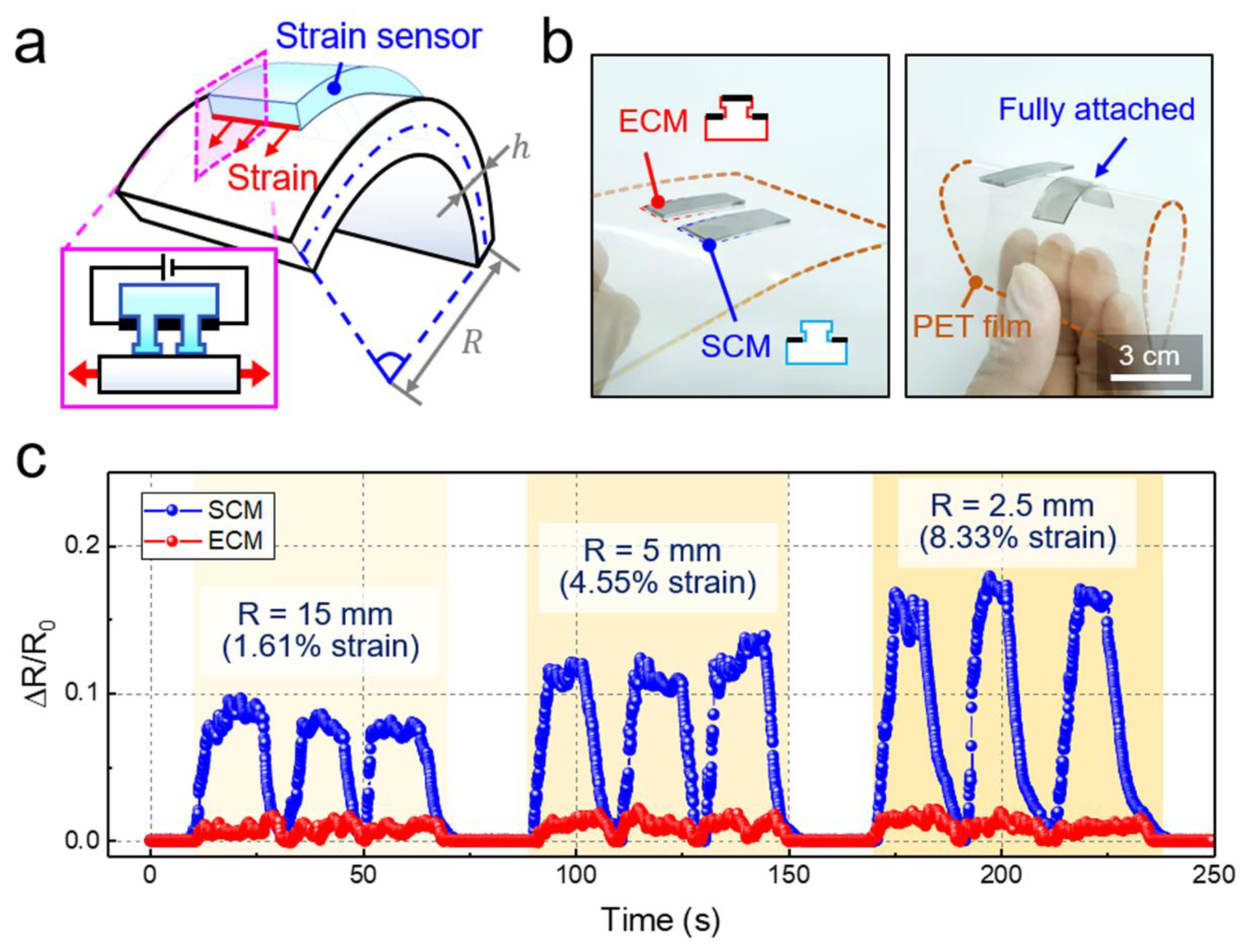 Sensors 20 06965 g004