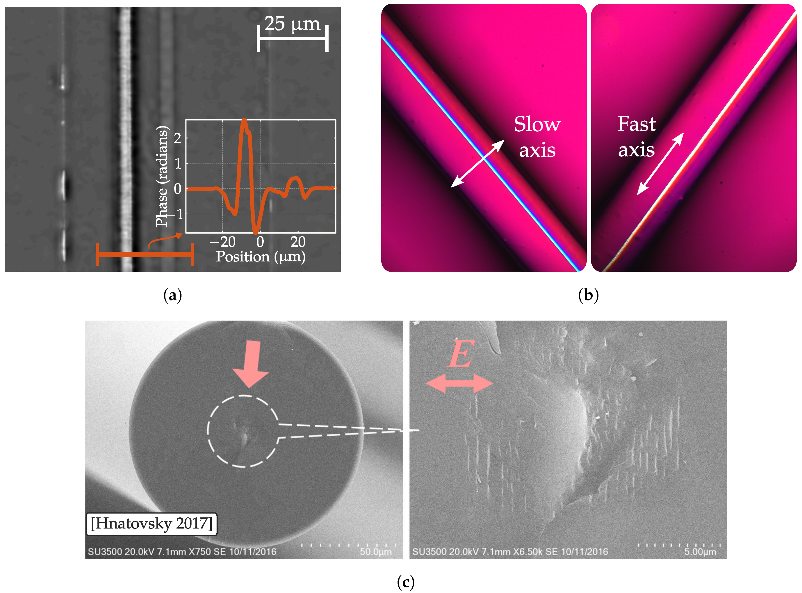 Sensors 20 06971 g001 Sensors 20 06971 g001