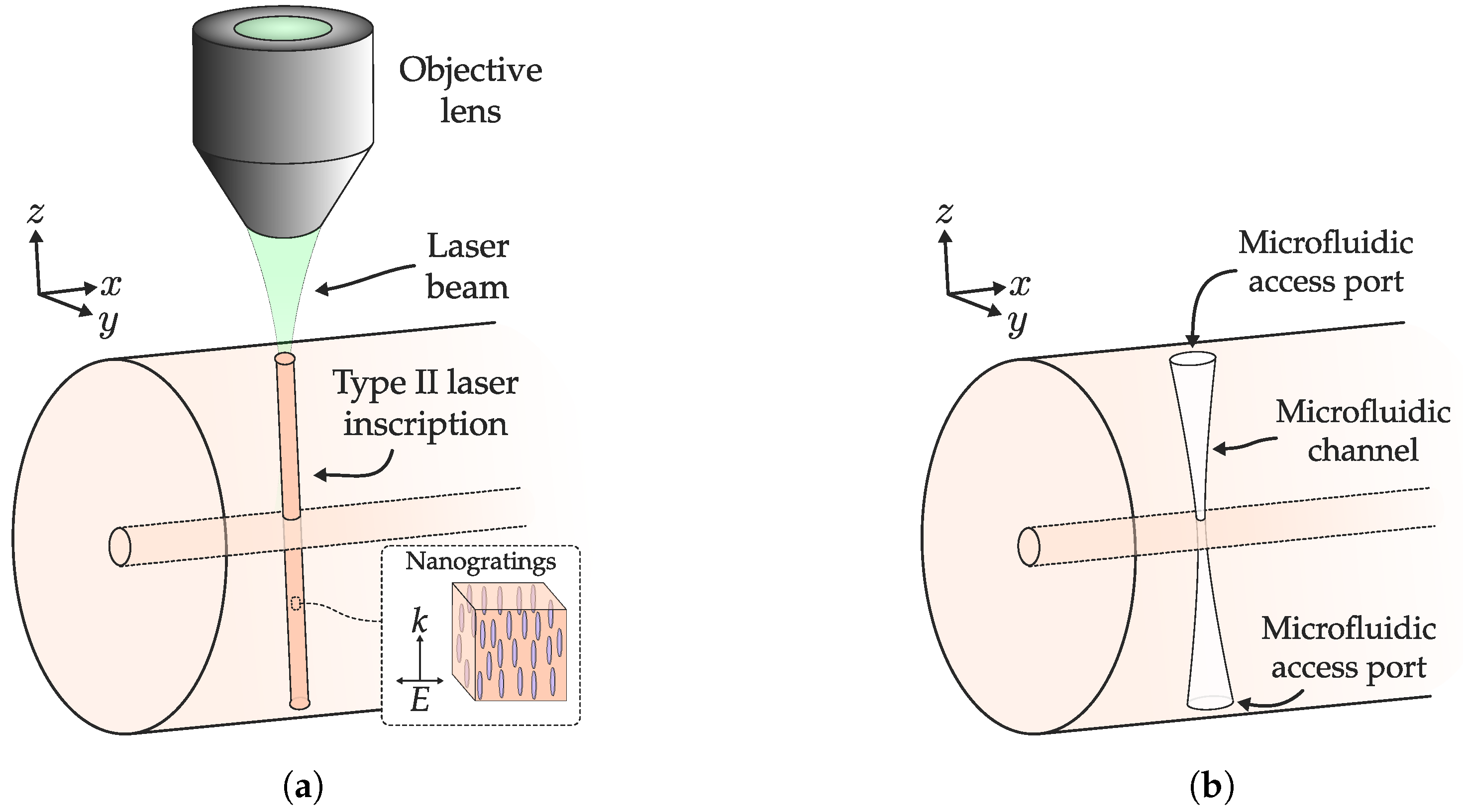 Sensors 20 06971 g002 Sensors 20 06971 g002