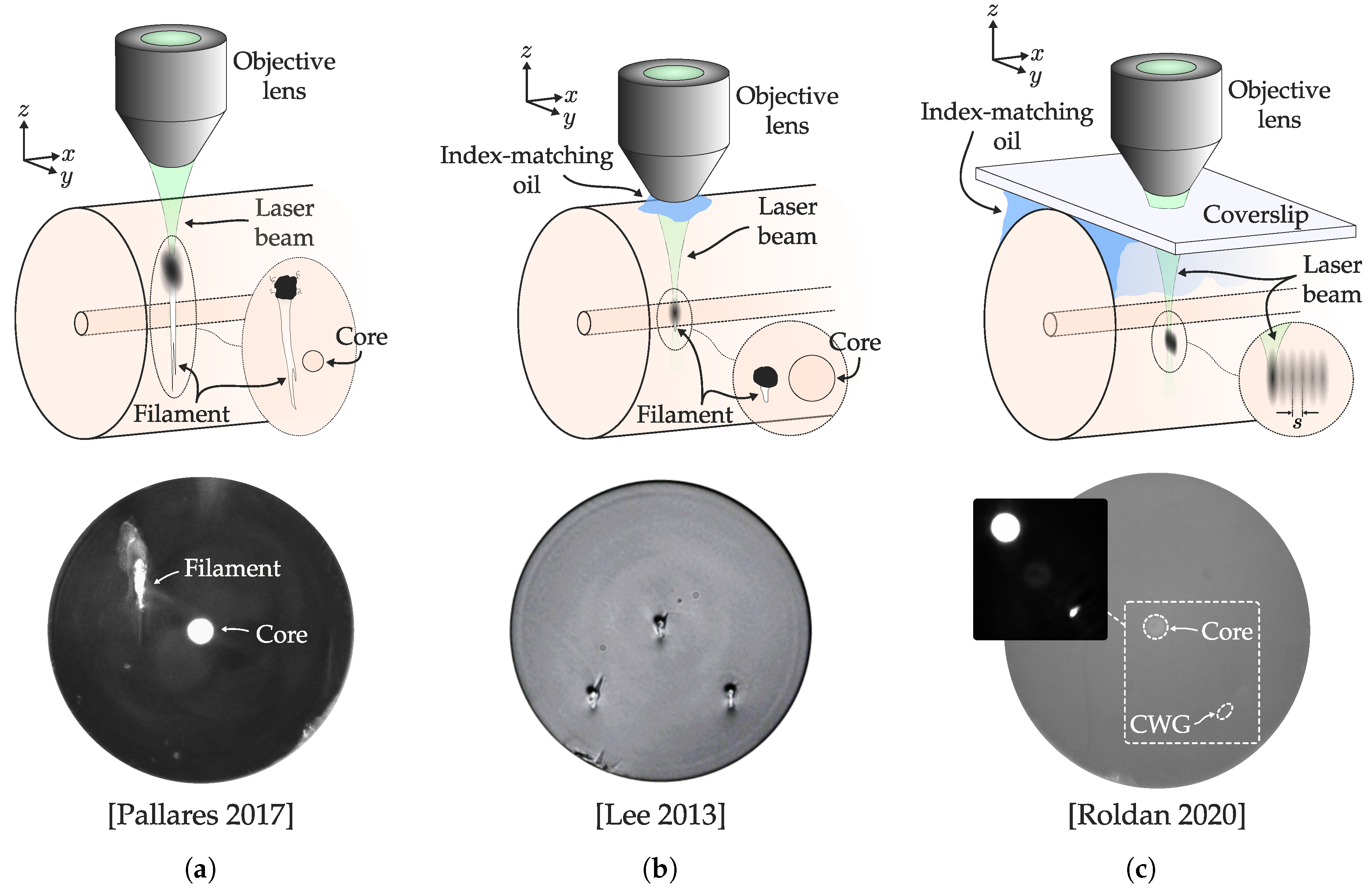 Sensors 20 06971 g008 Sensors 20 06971 g008