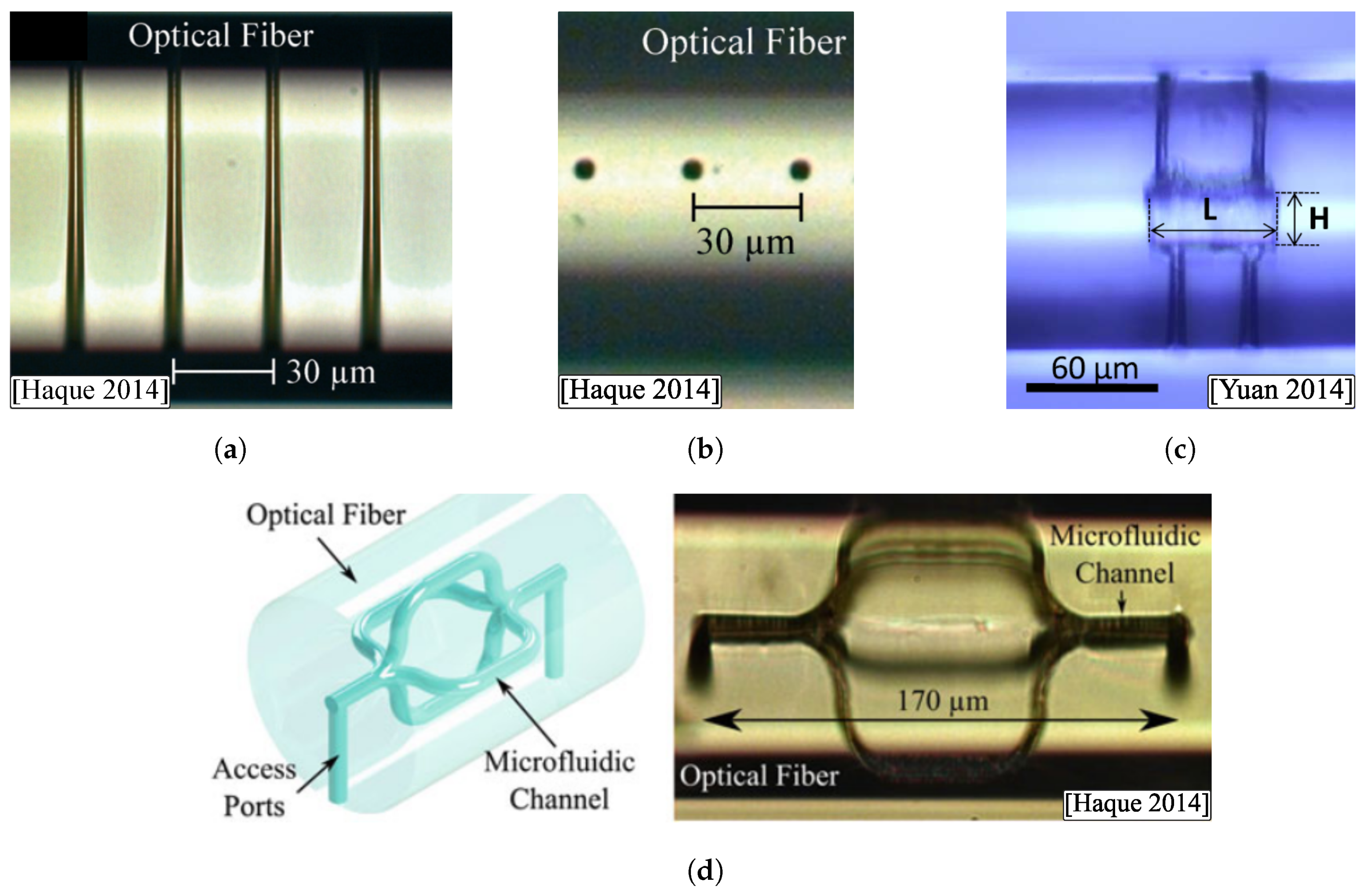 Sensors 20 06971 g015 Sensors 20 06971 g015