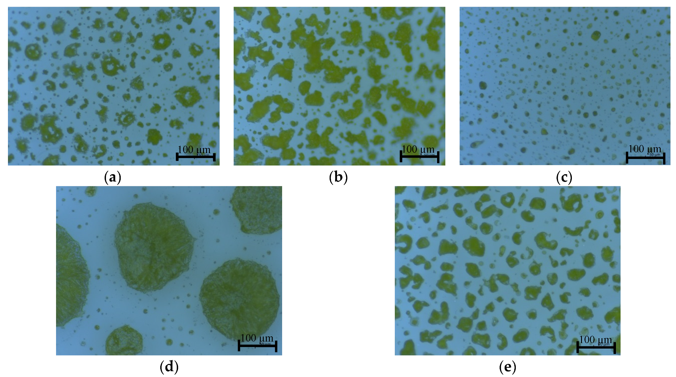 Sensors 20 06981 g002 Sensors 20 06981 g002