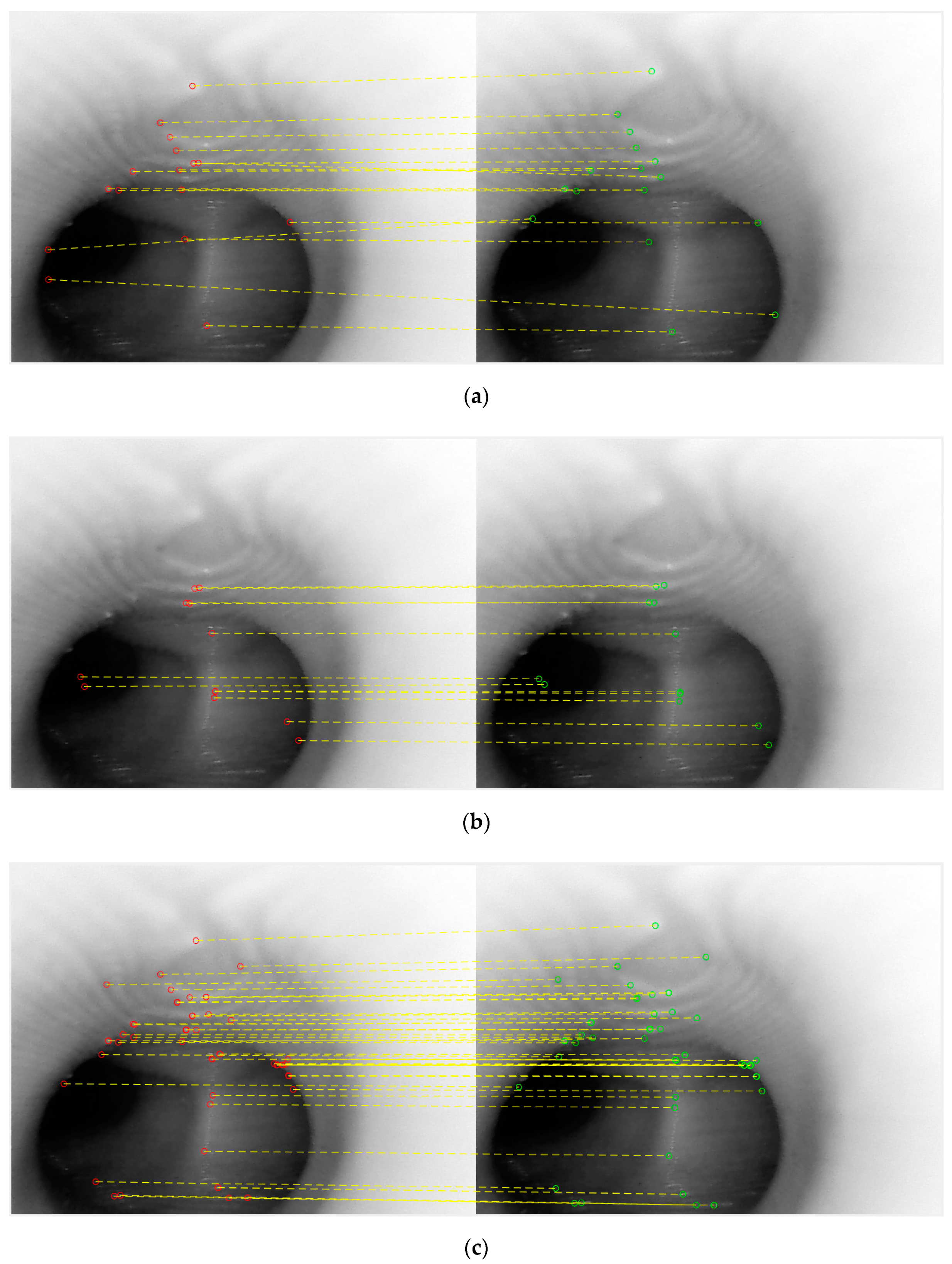 Sensors 20 06997 g005