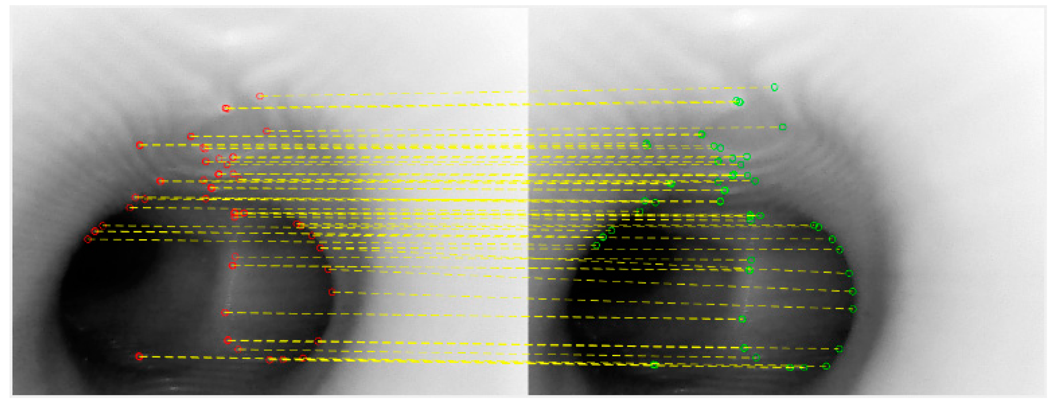 Sensors 20 06997 g006