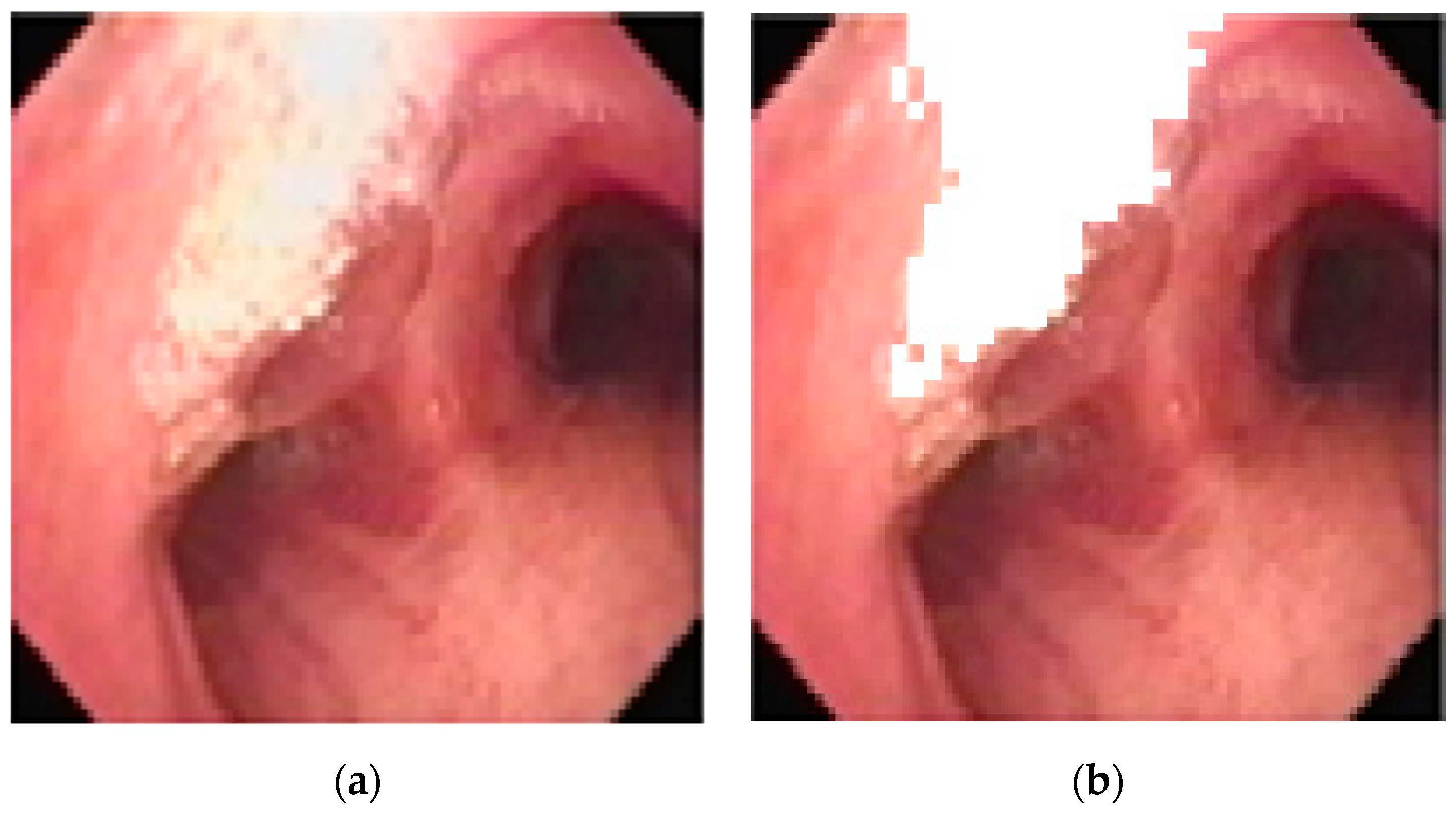 Sensors 20 06997 g009