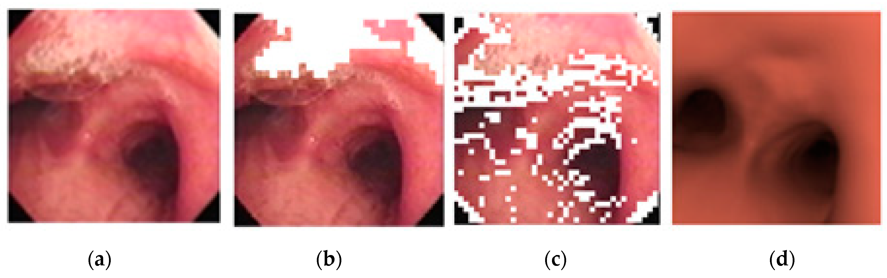 Sensors 20 06997 g015