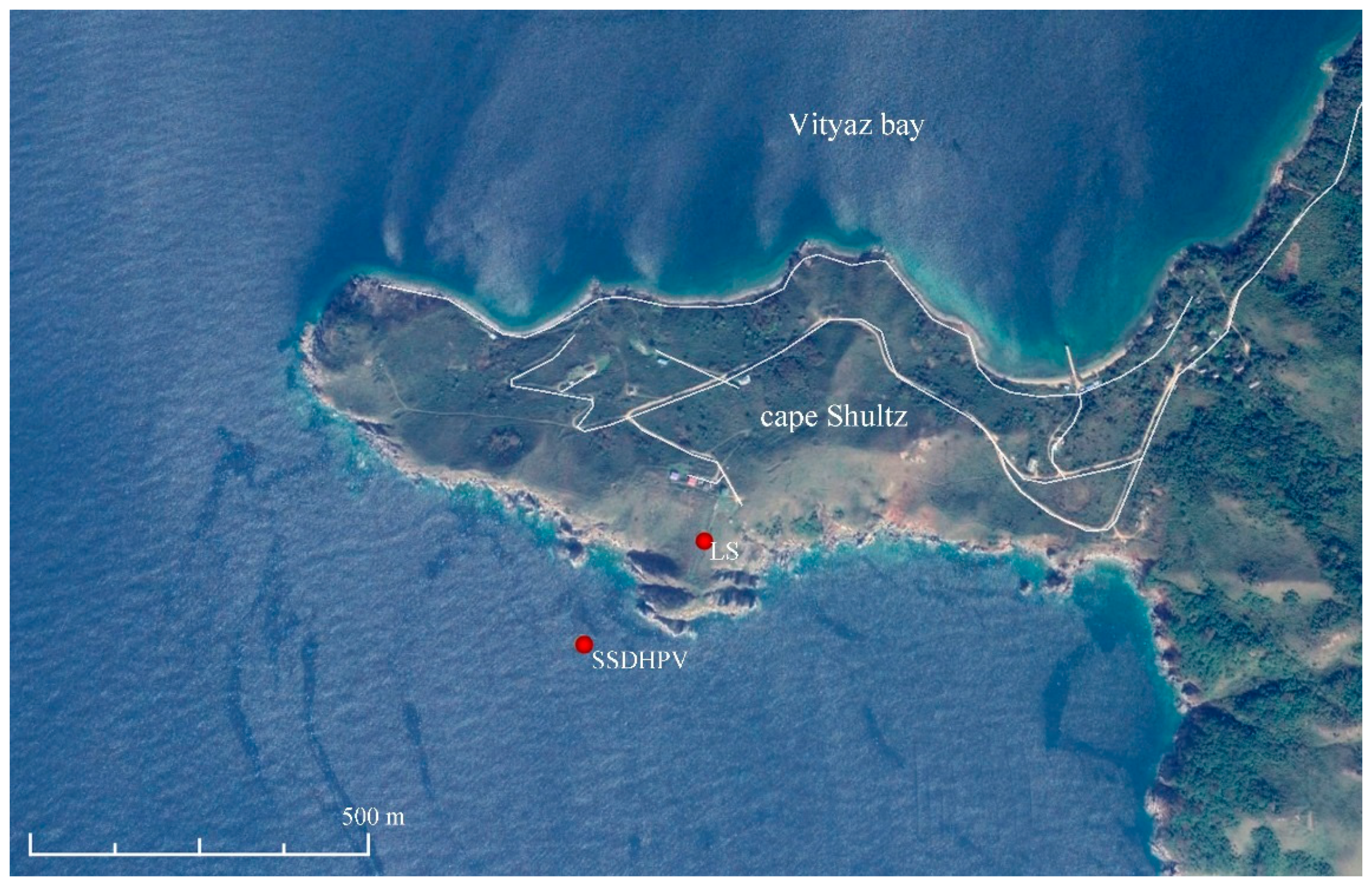 Sensors 20 06998 g006