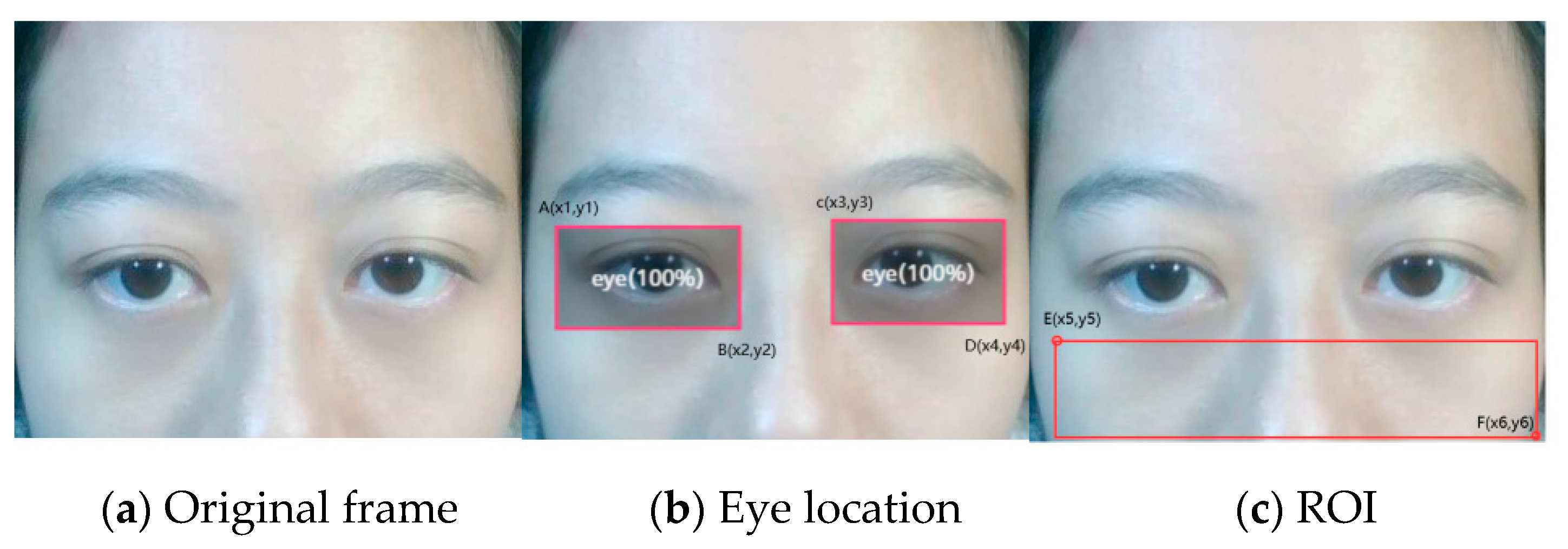 Sensors 20 07021 g004