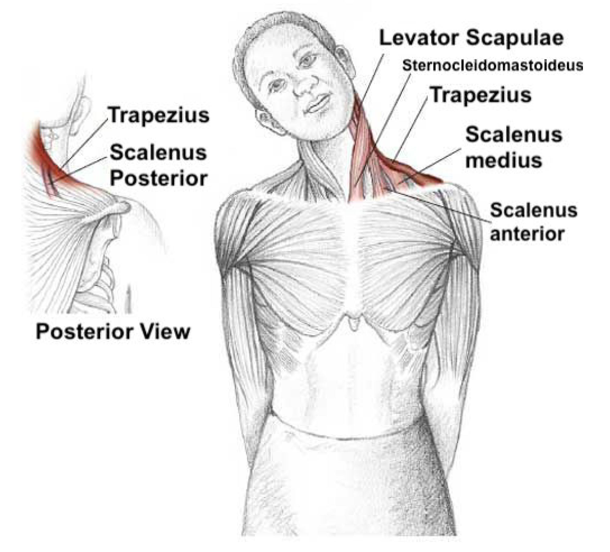 Sensors 20 07037 g010