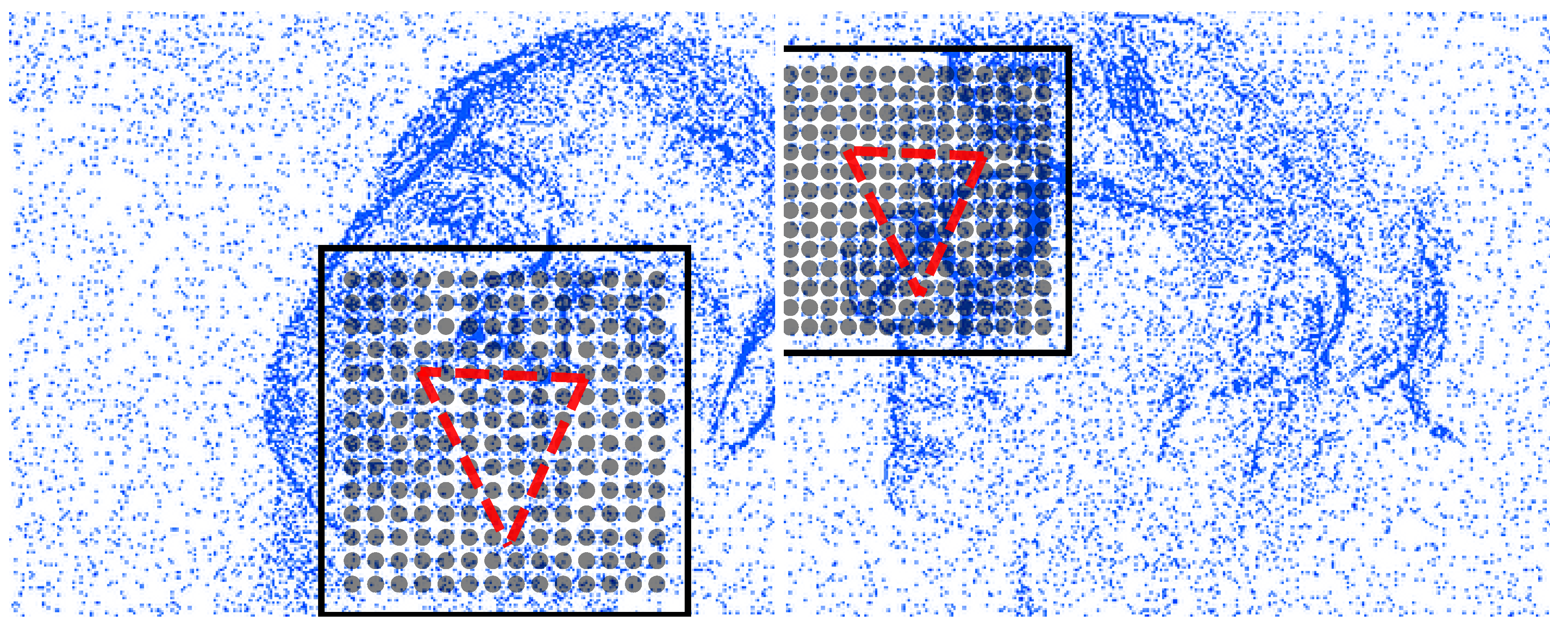 Sensors 20 07079 g002