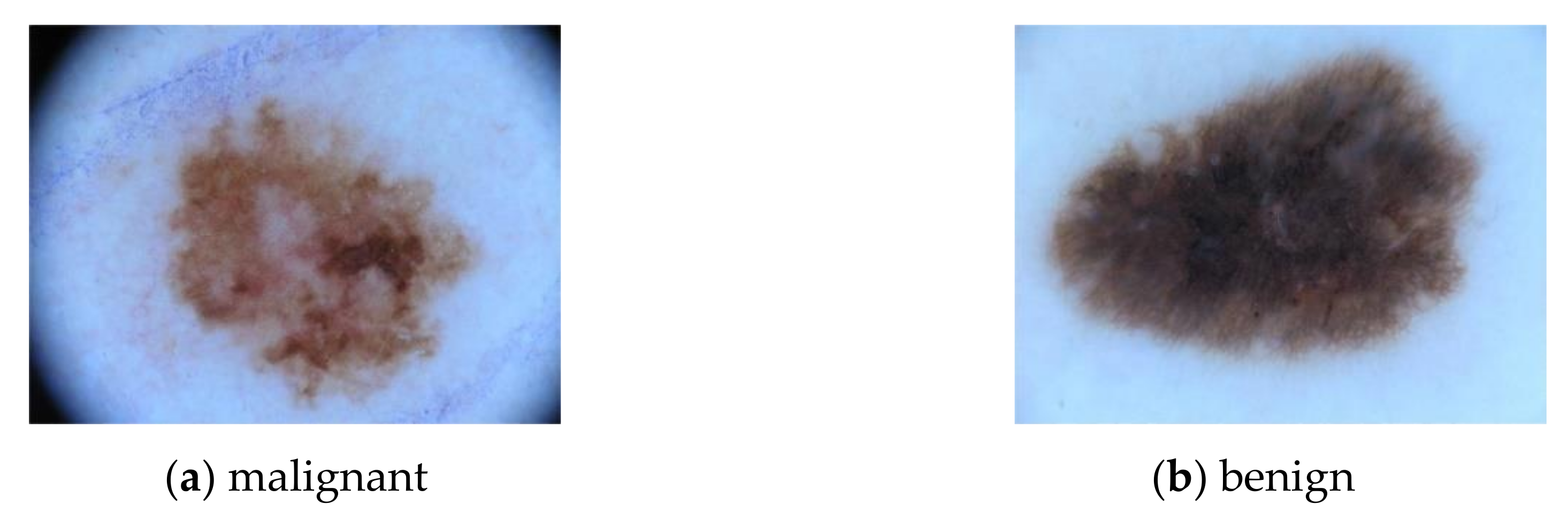 Sensors 20 07080 g004