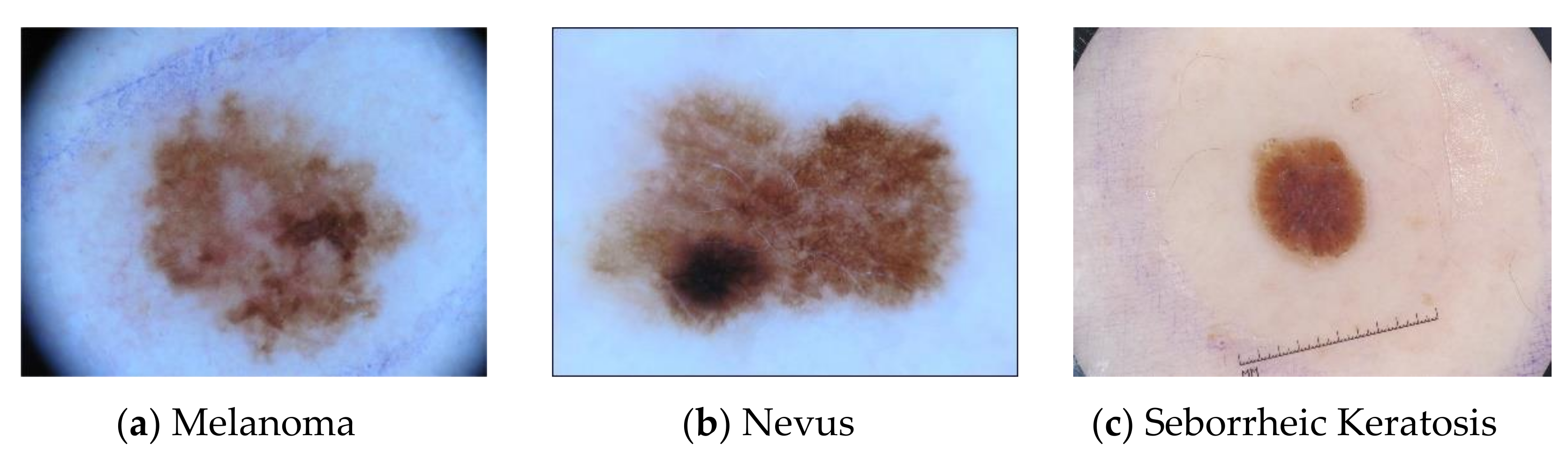 Sensors 20 07080 g005