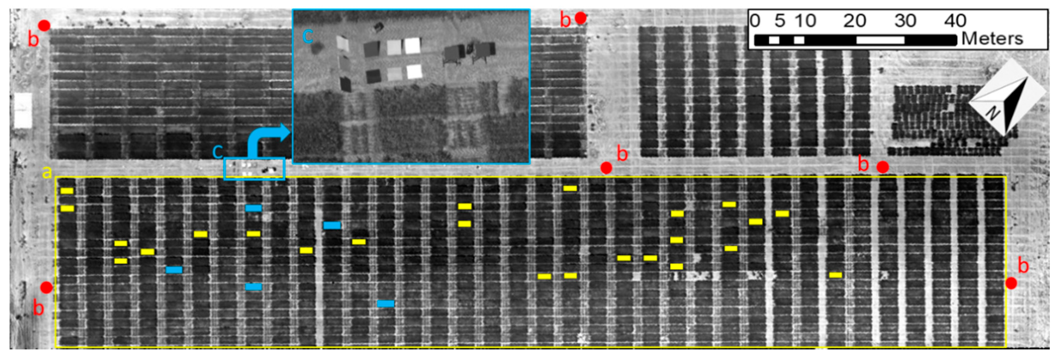 Sensors 20 07098 g005
