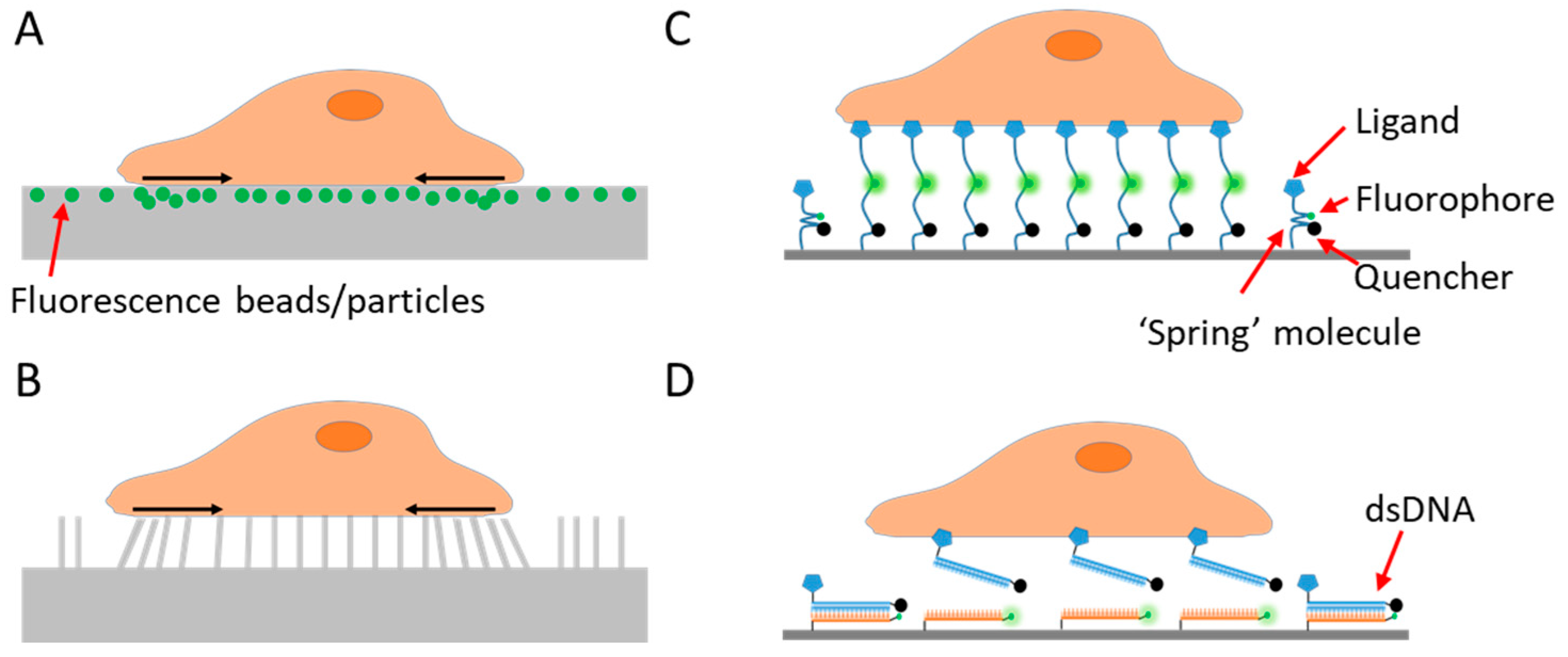 Sensors 20 07128 g001
