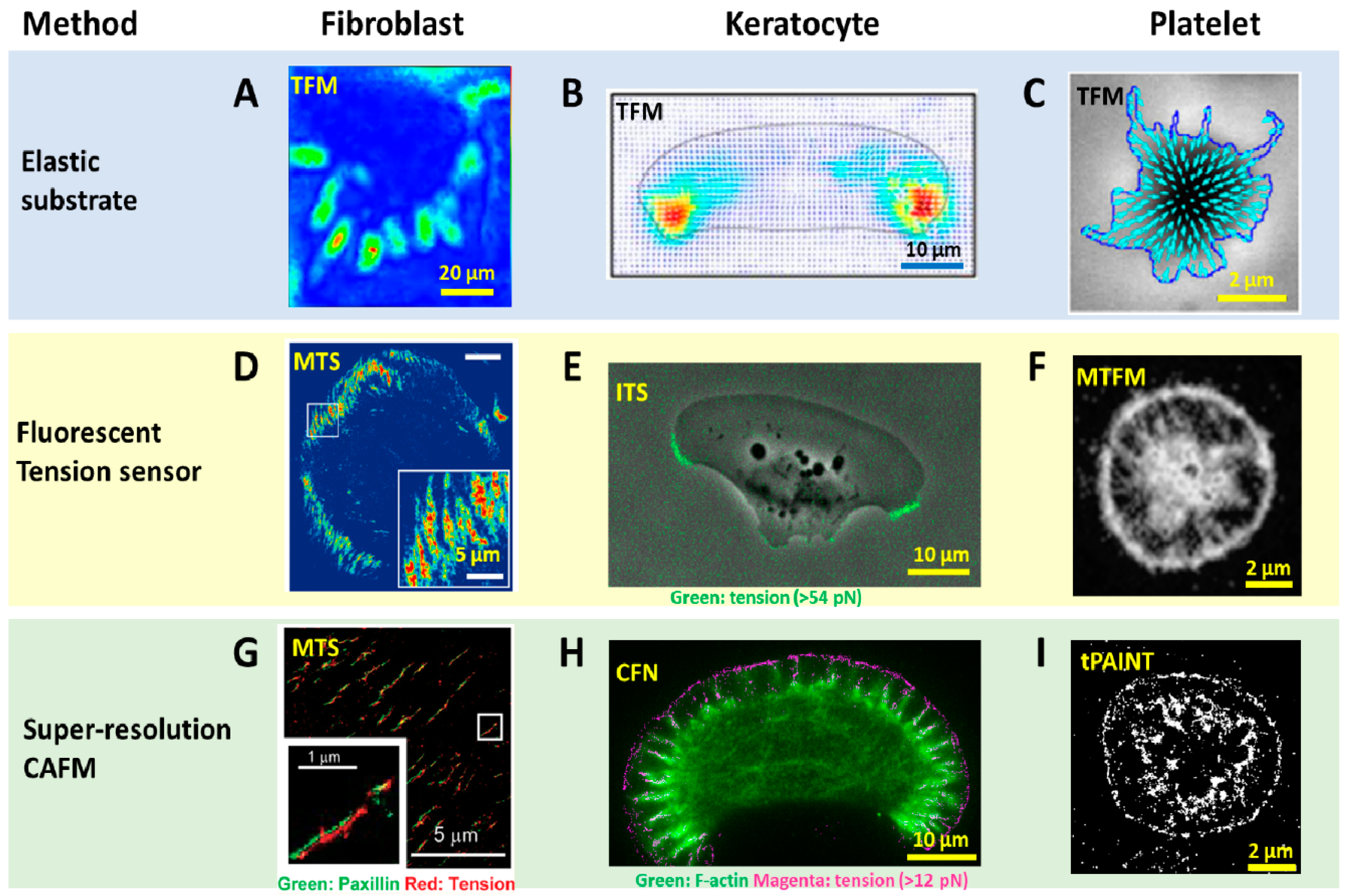 Sensors 20 07128 g002