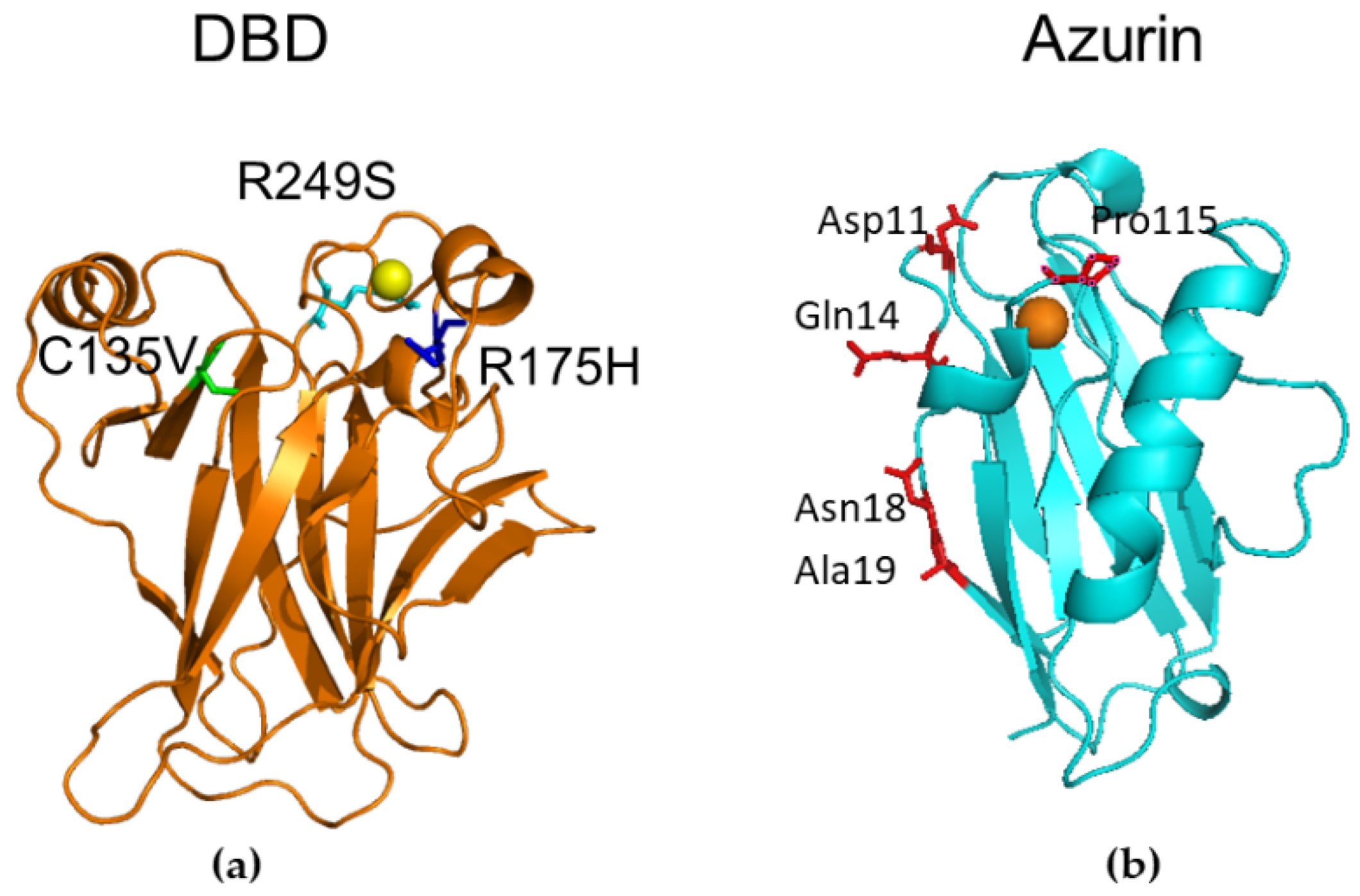 Sensors 20 07153 g001