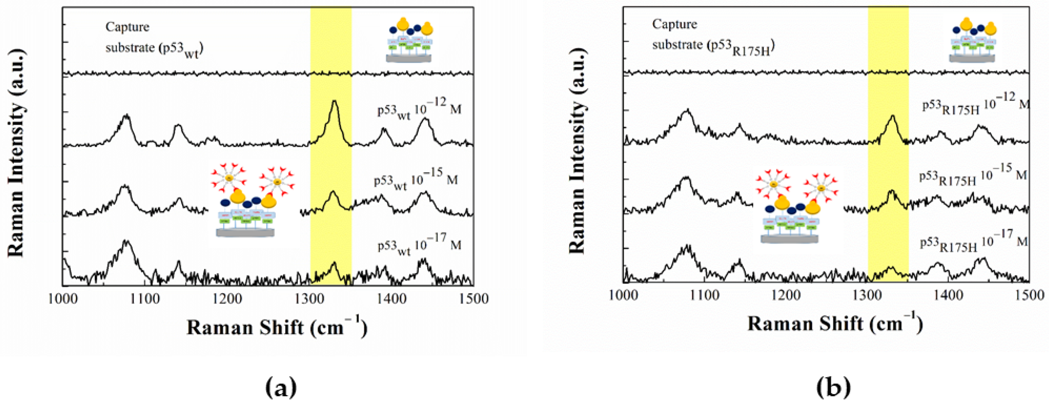 Sensors 20 07153 g008
