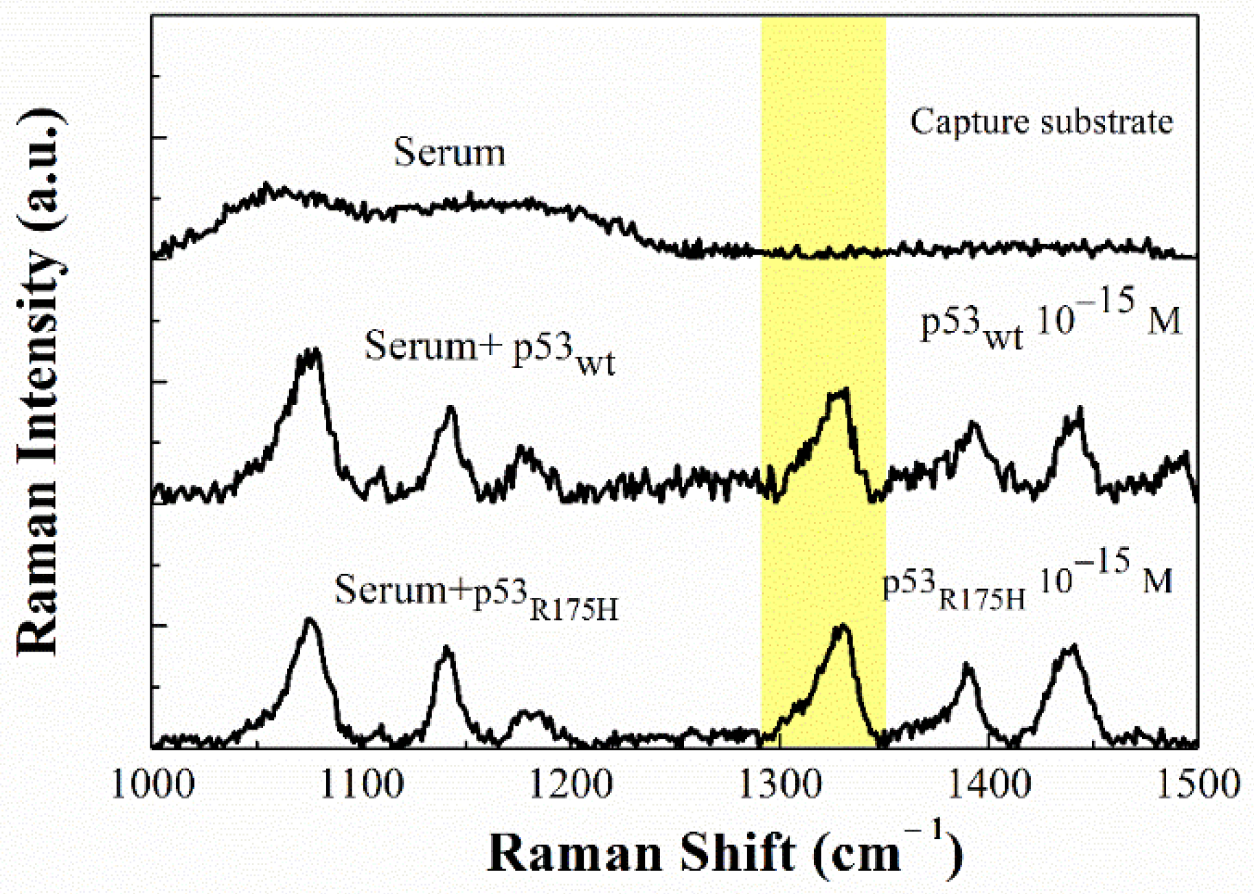 Sensors 20 07153 g009
