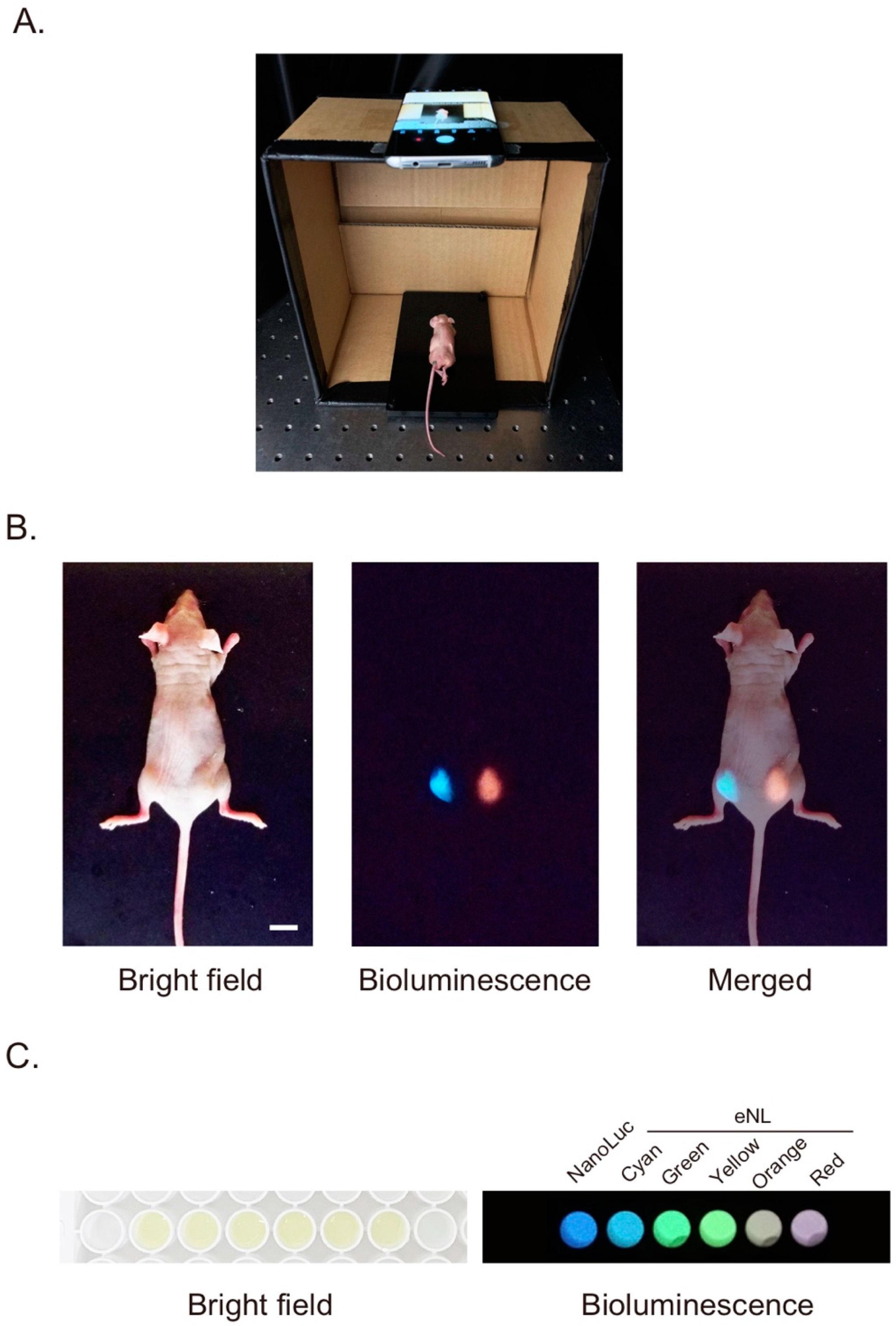 Sensors 20 07166 g001