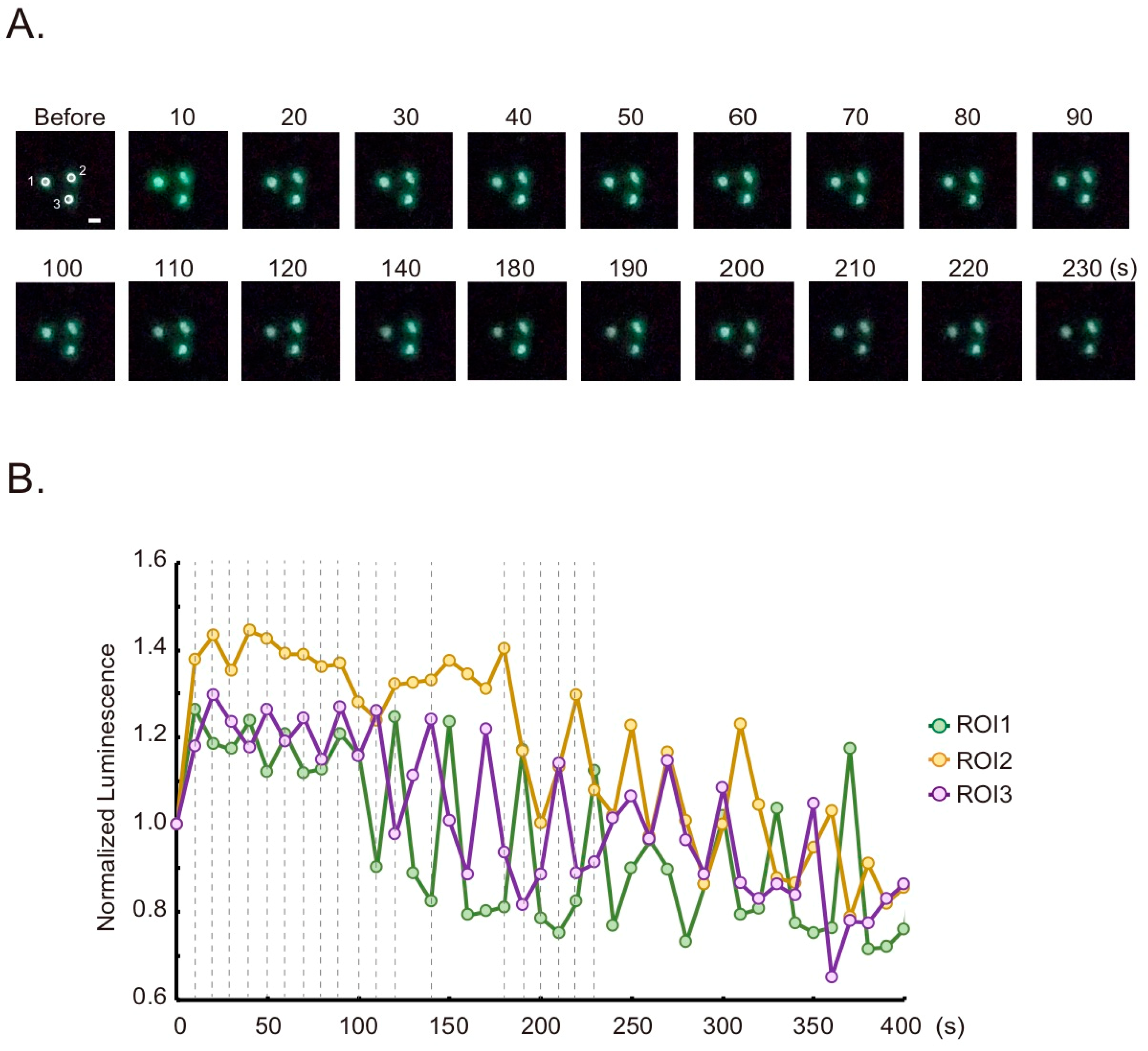 Sensors 20 07166 g004