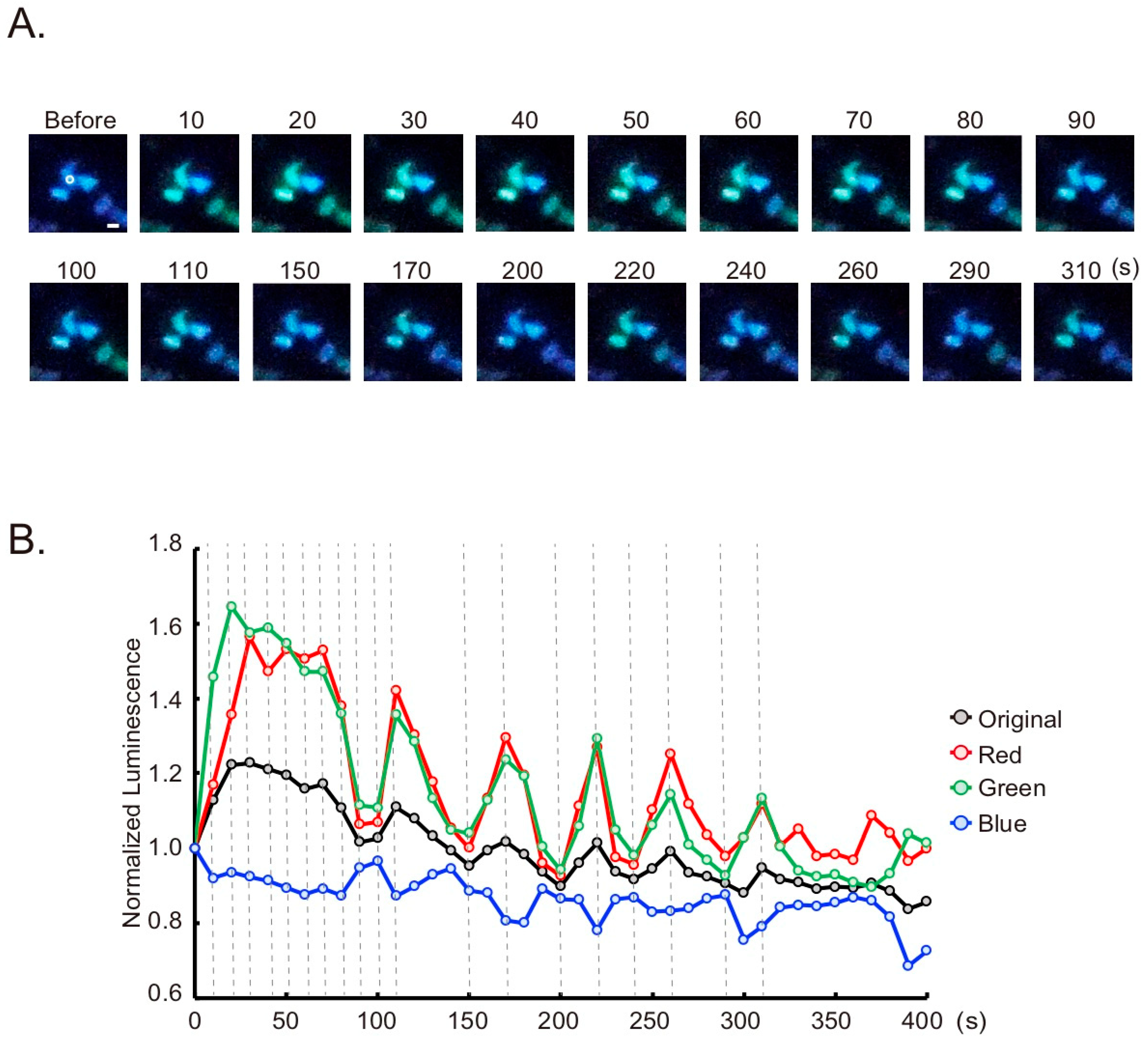Sensors 20 07166 g005
